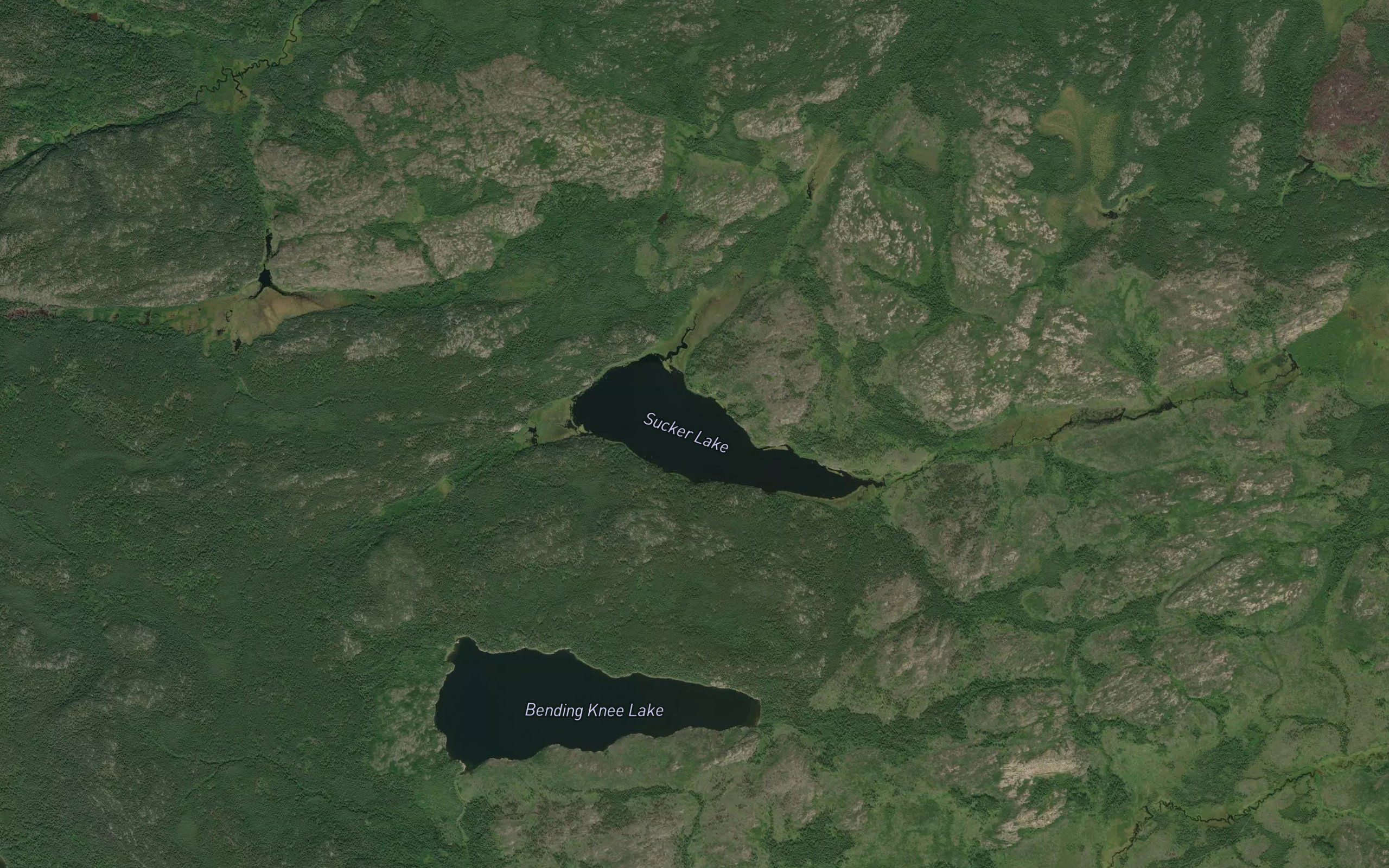 Sucker Lake