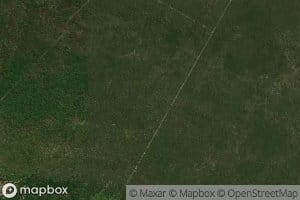 Laguna de Los Pajaros