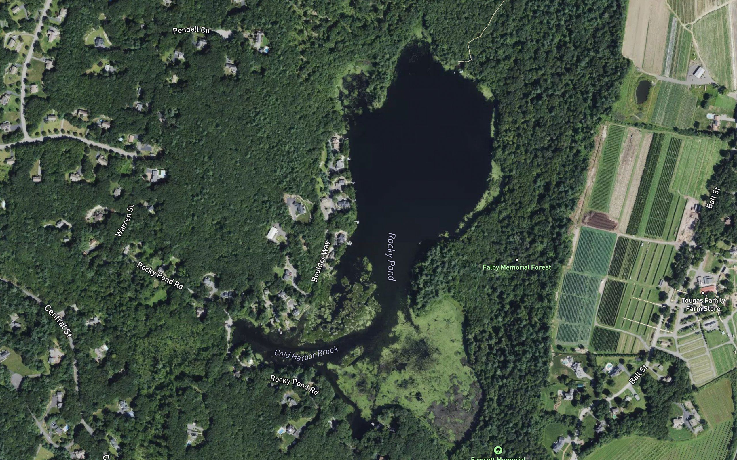Rocky Pond