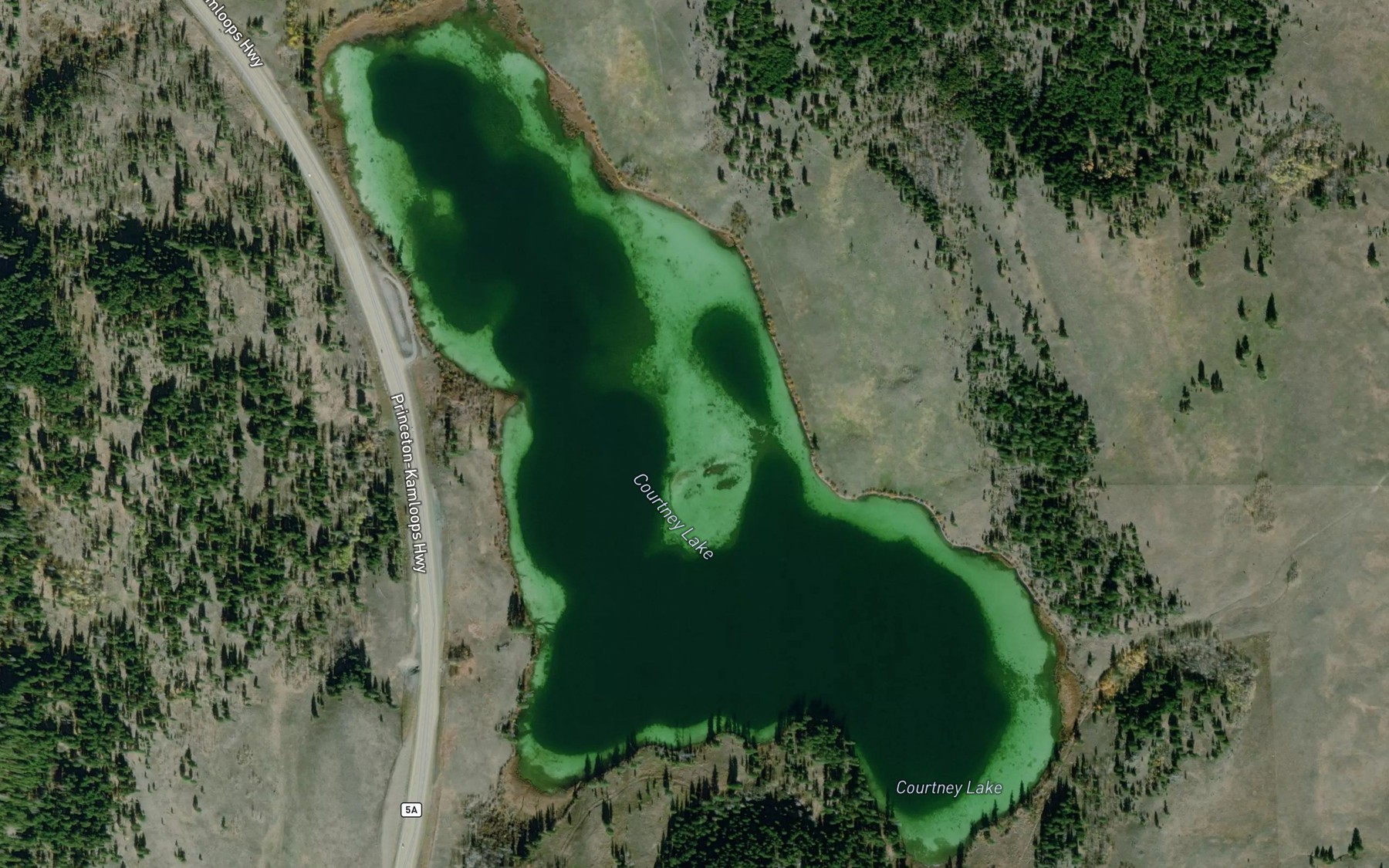 Satellite map of the Courtney Lake