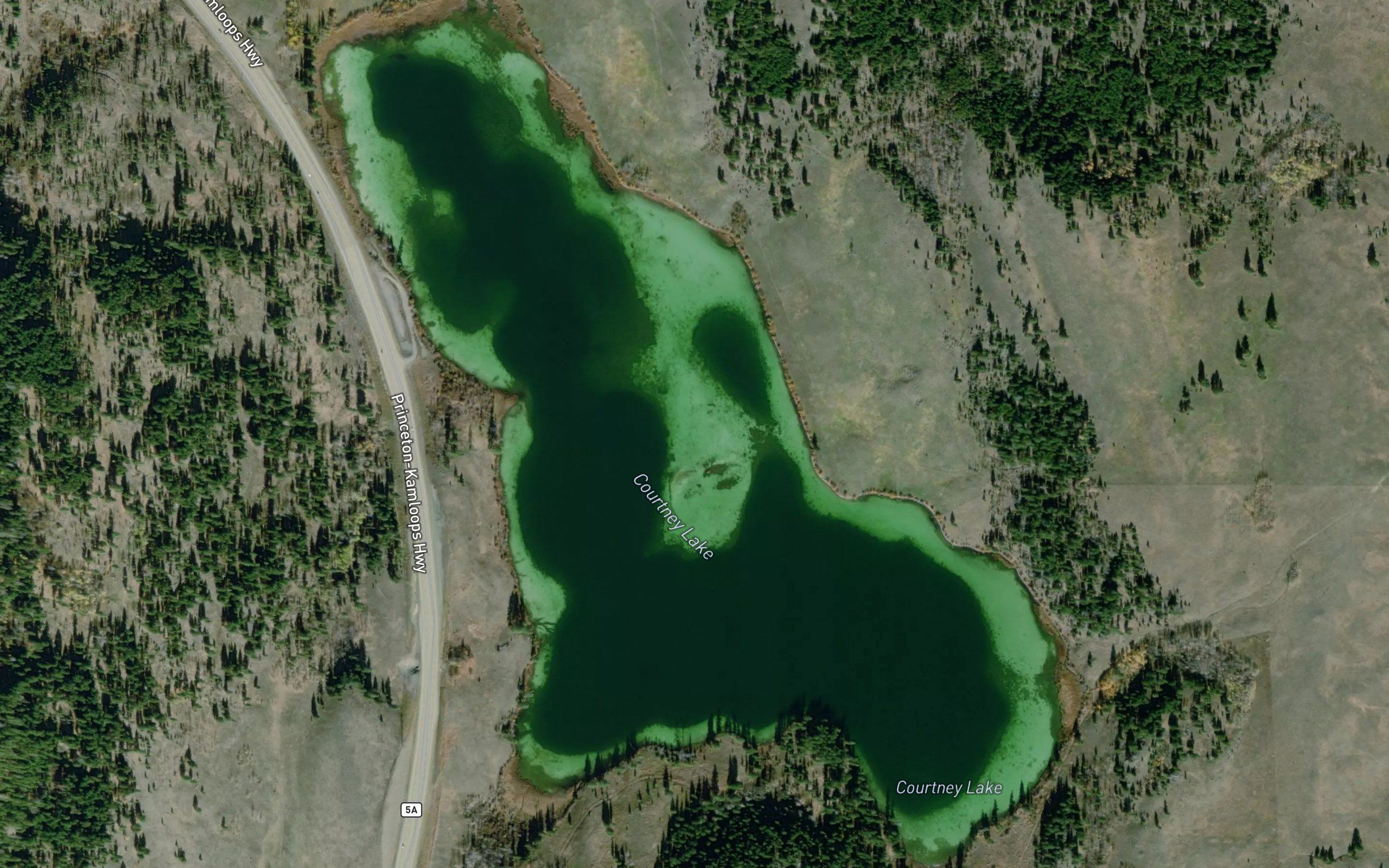 Courtney Lake