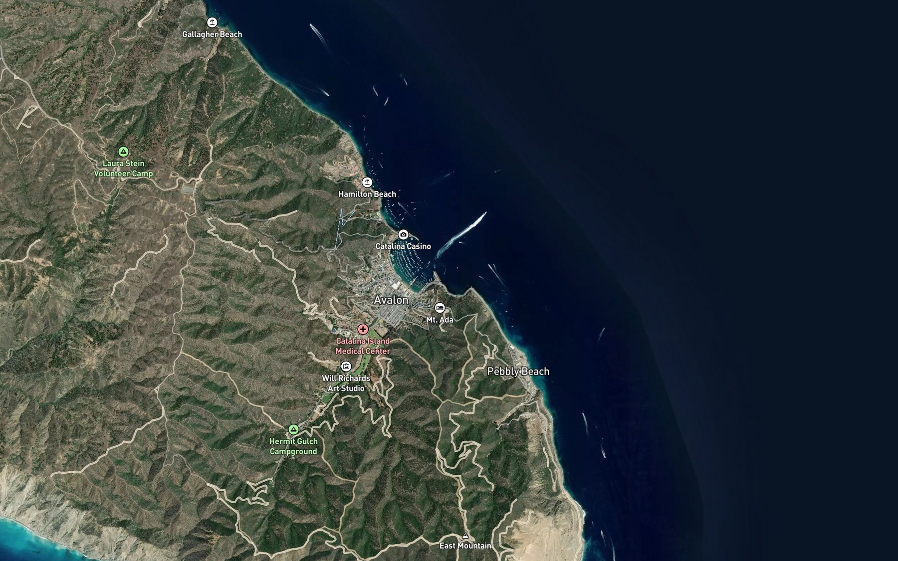 Satellite map of the Avalon Bay Seaplane Base