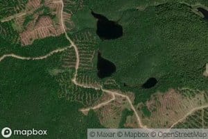 Lac Bovee