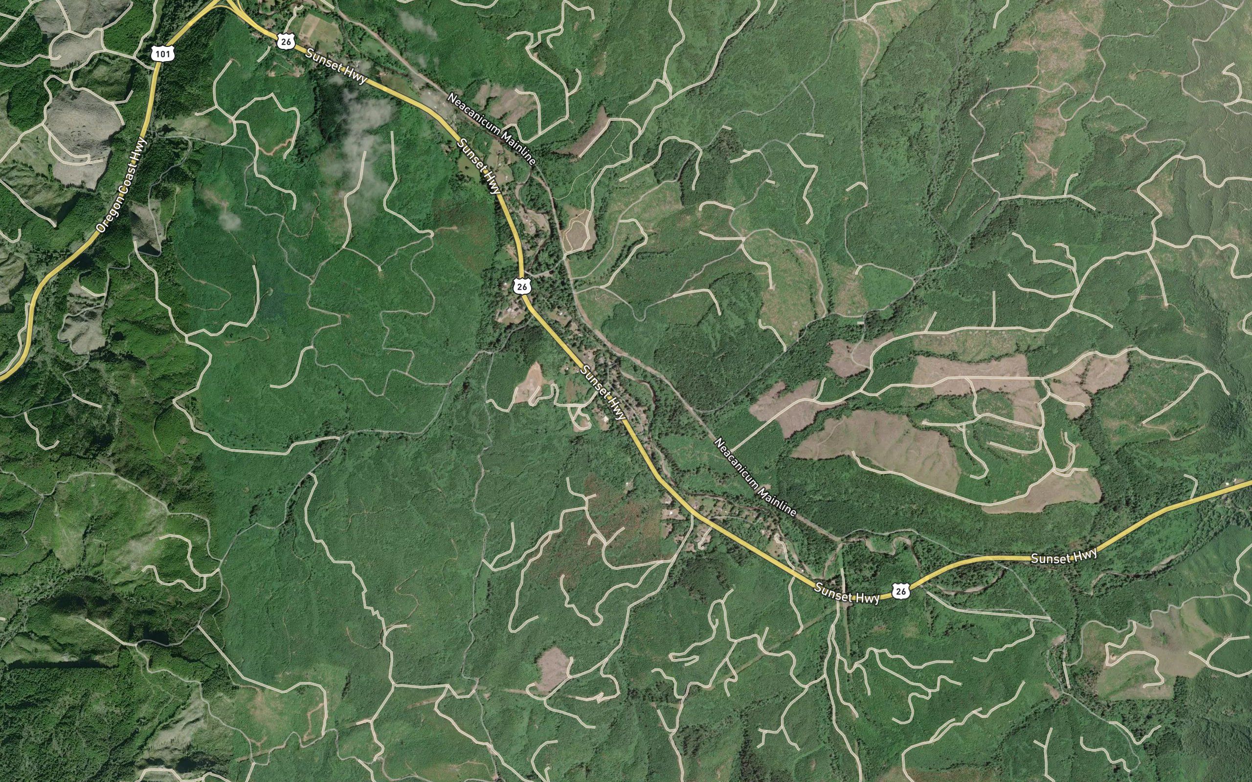Salmon Creek