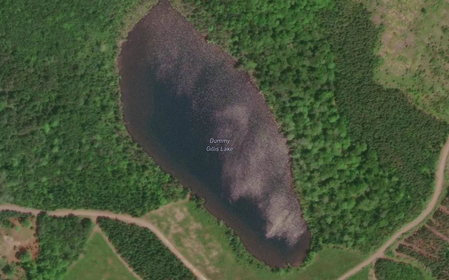 Satellite map of the Dummy Gillis Lake
