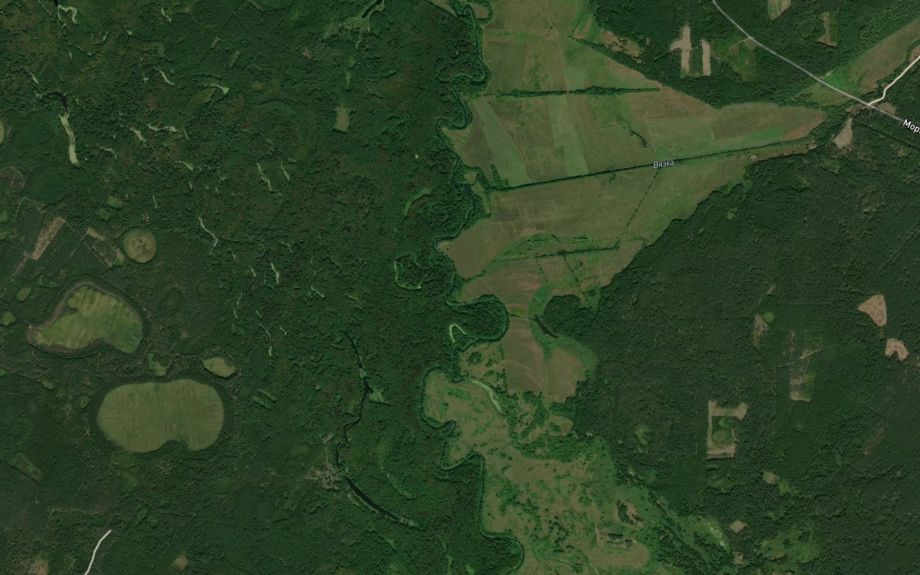 Satellite map of the Vyazka