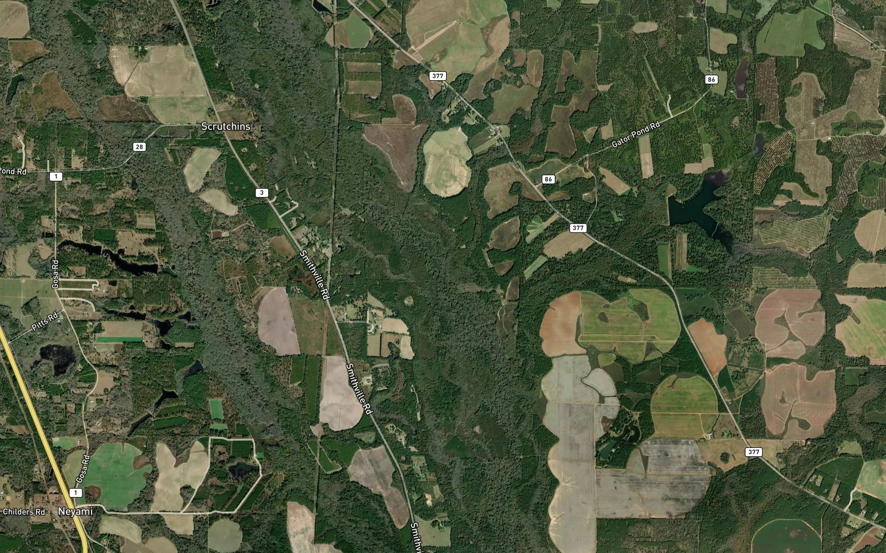 Satellite map of the Boggy Branch