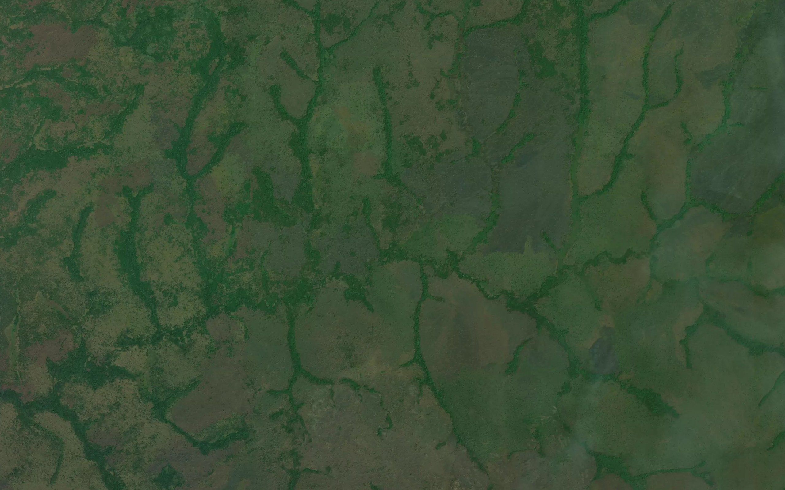 Nabagu