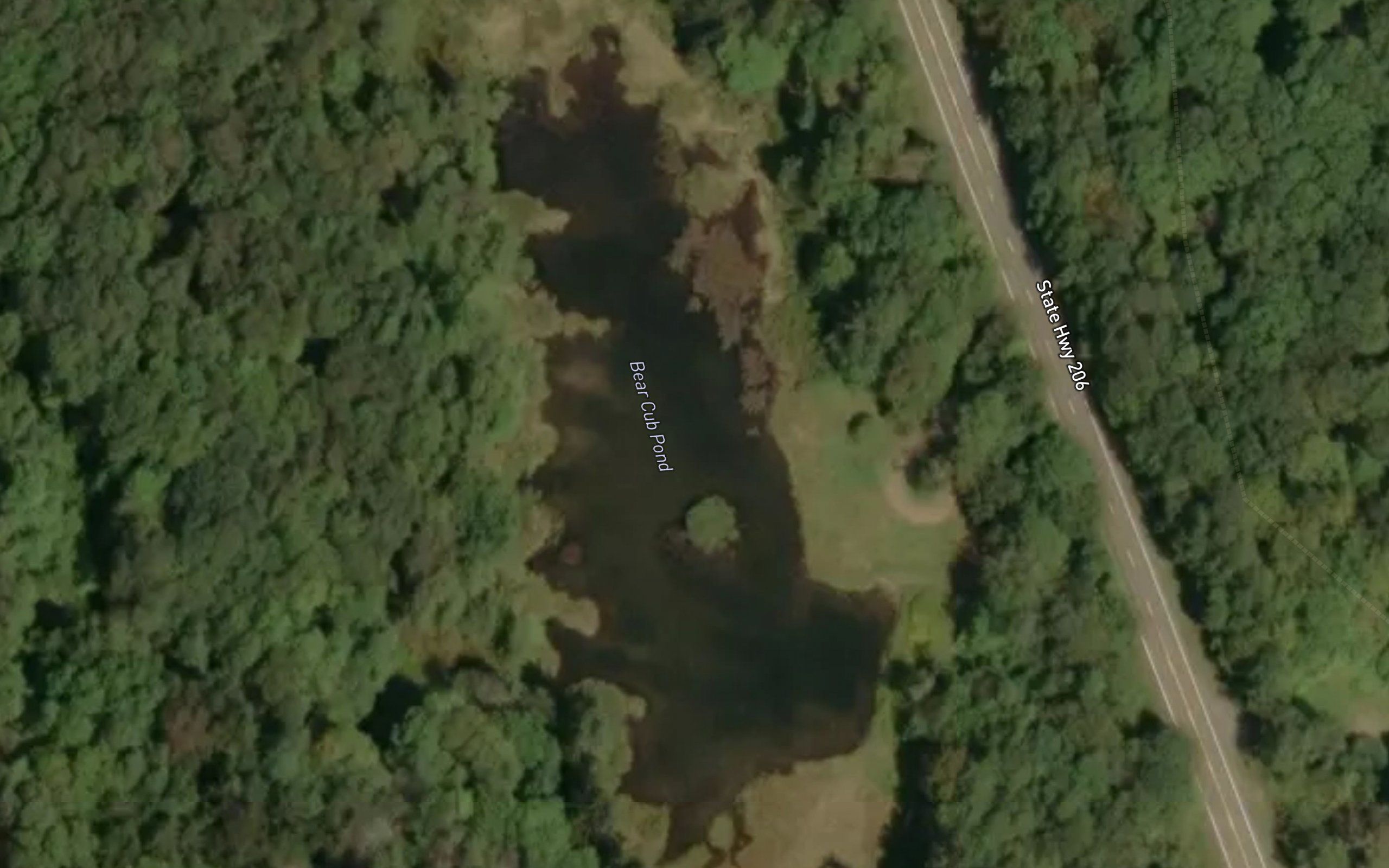 Bear Cub Pond