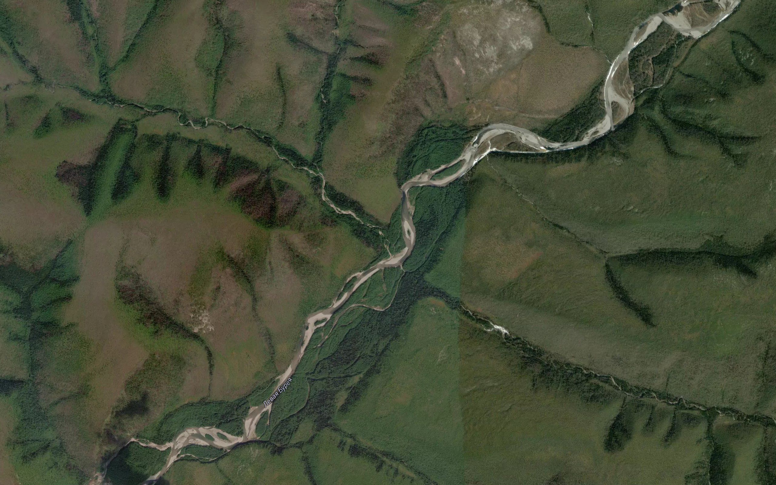 Vankish