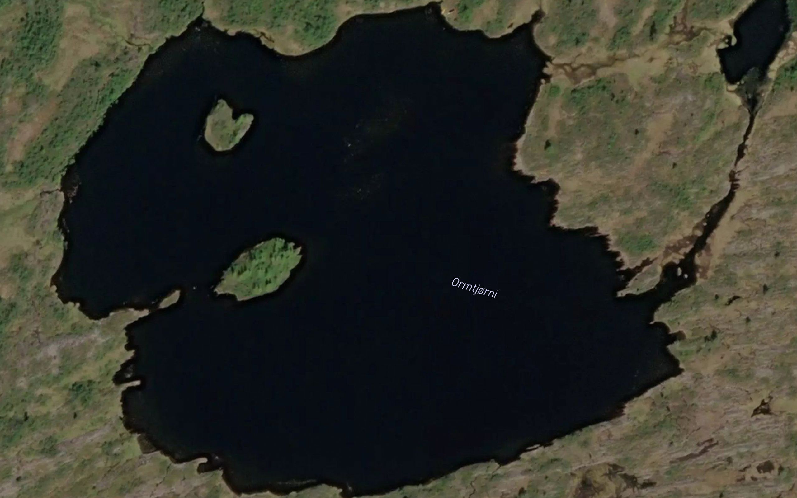 Ormtjorni