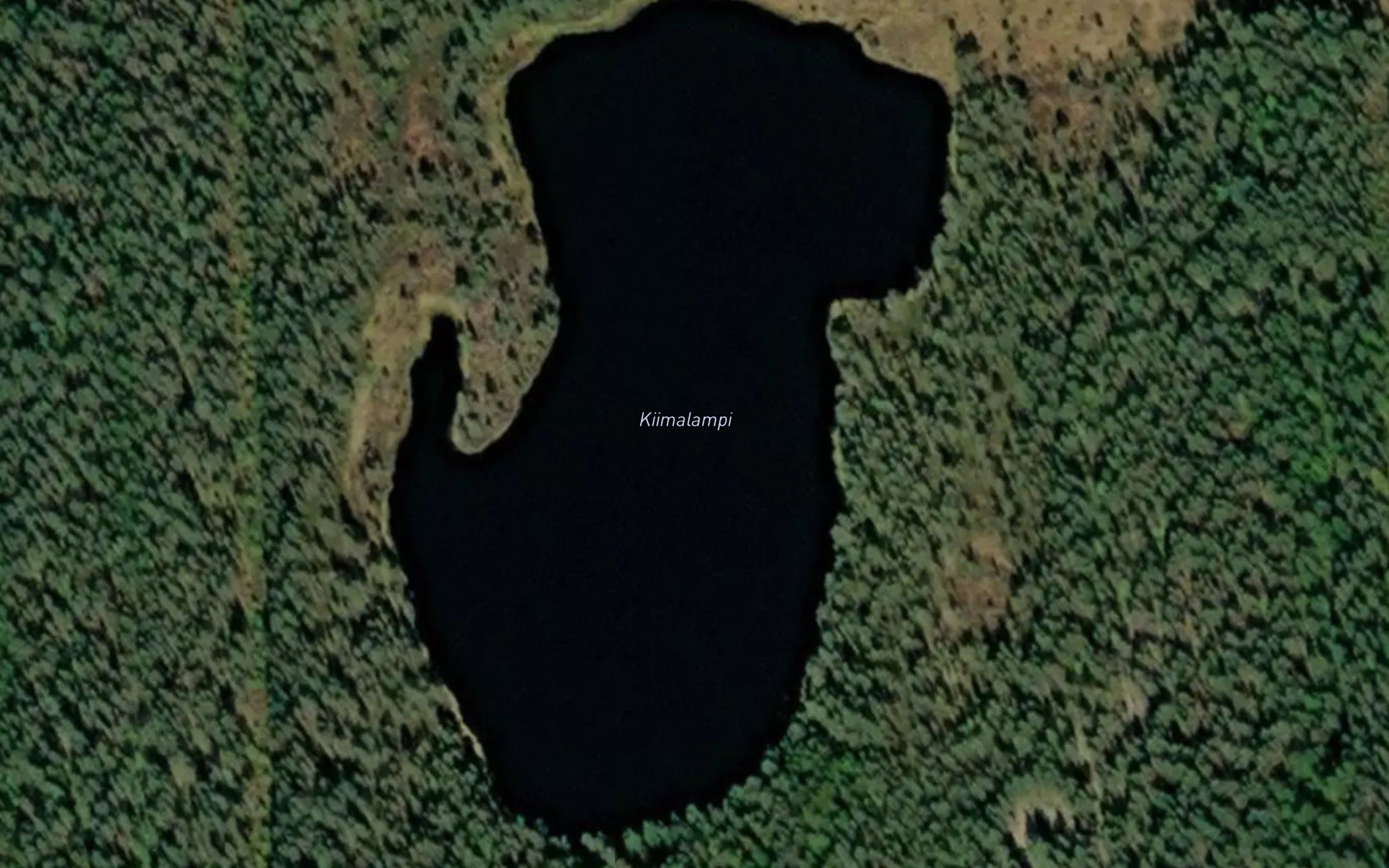 Kiimalampi