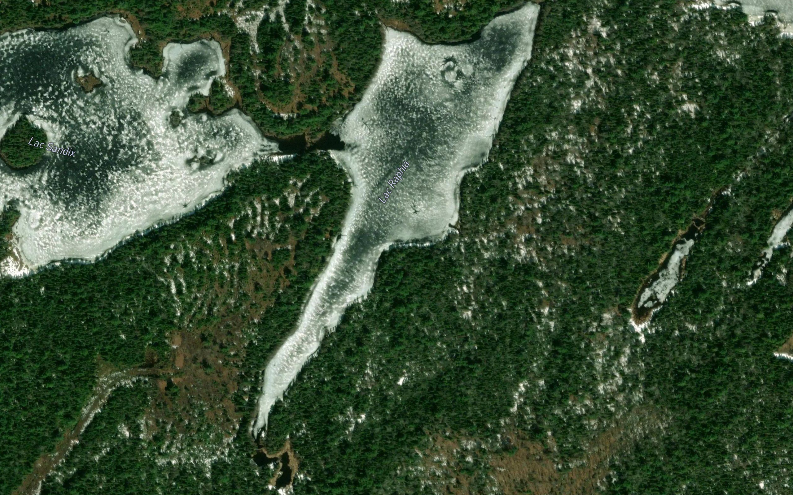 Lac Raphia