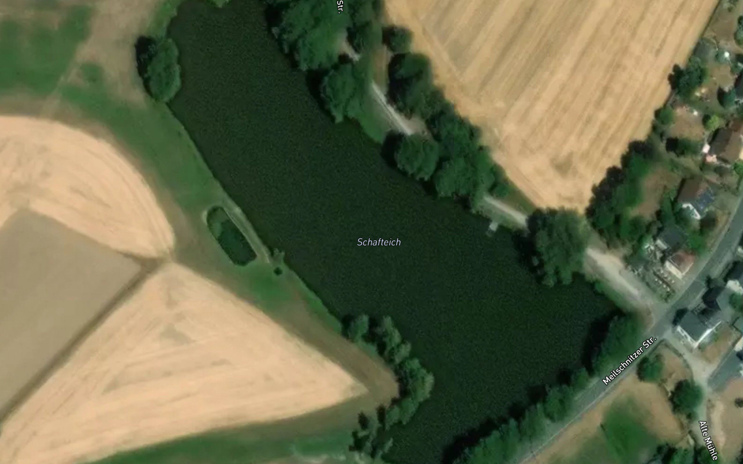 Schafteich