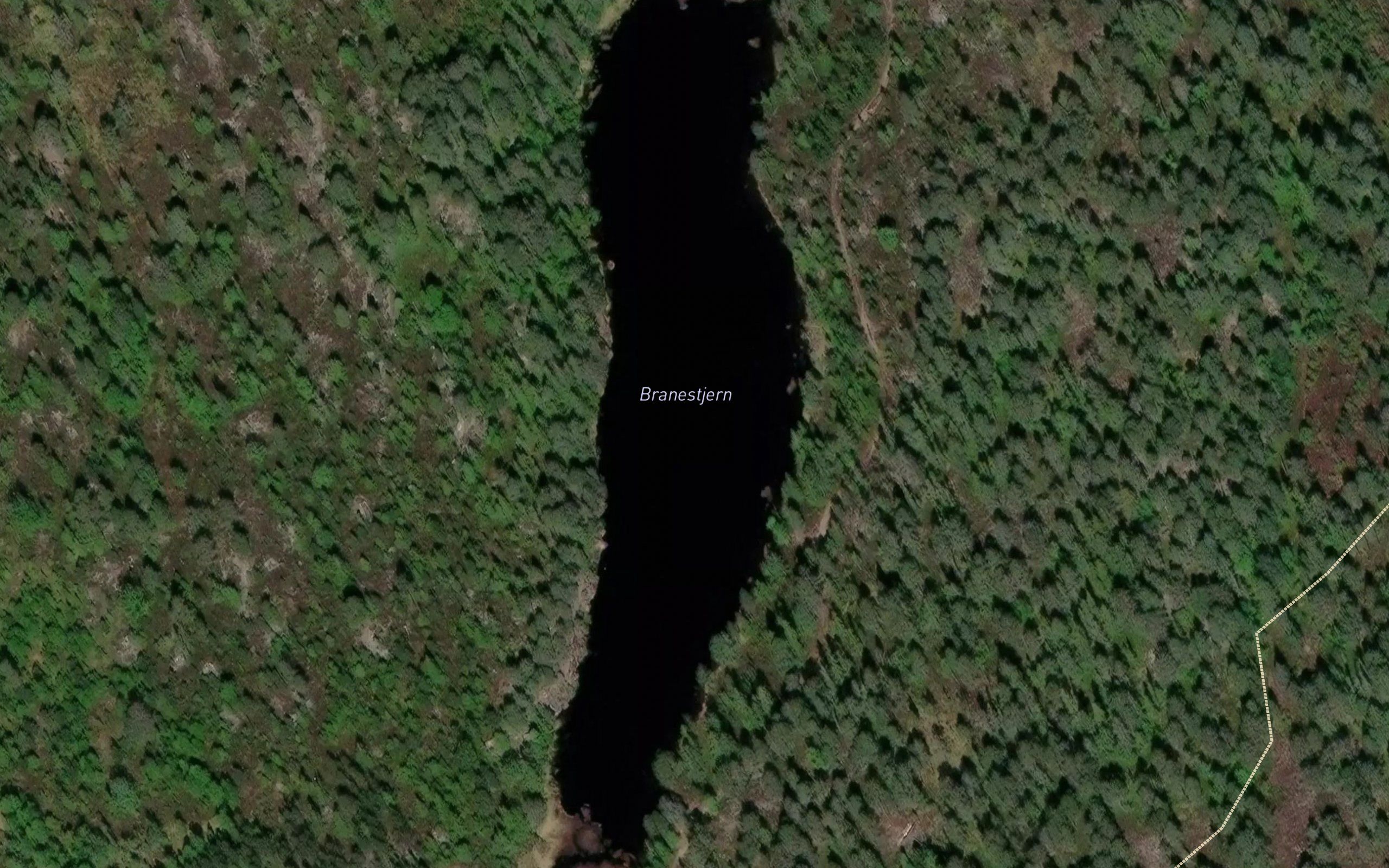 Branestjernet
