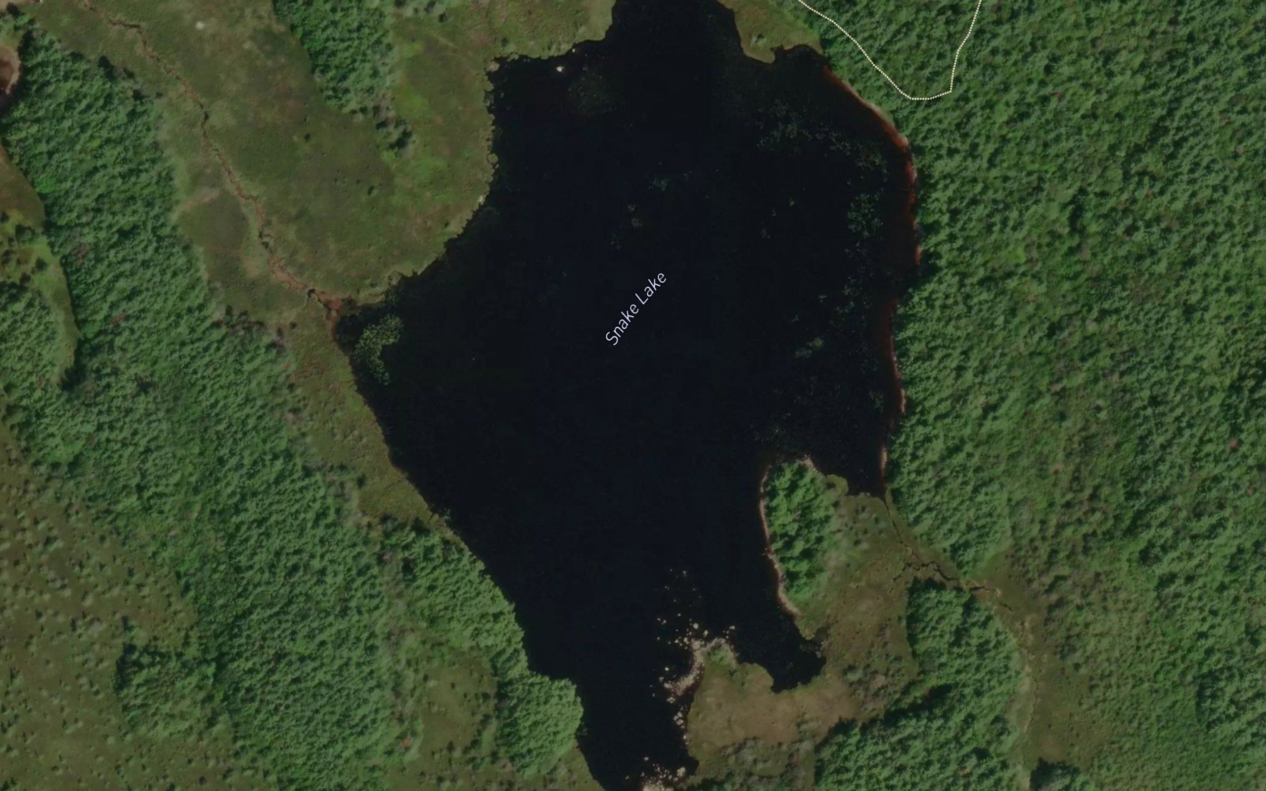Snake Lake