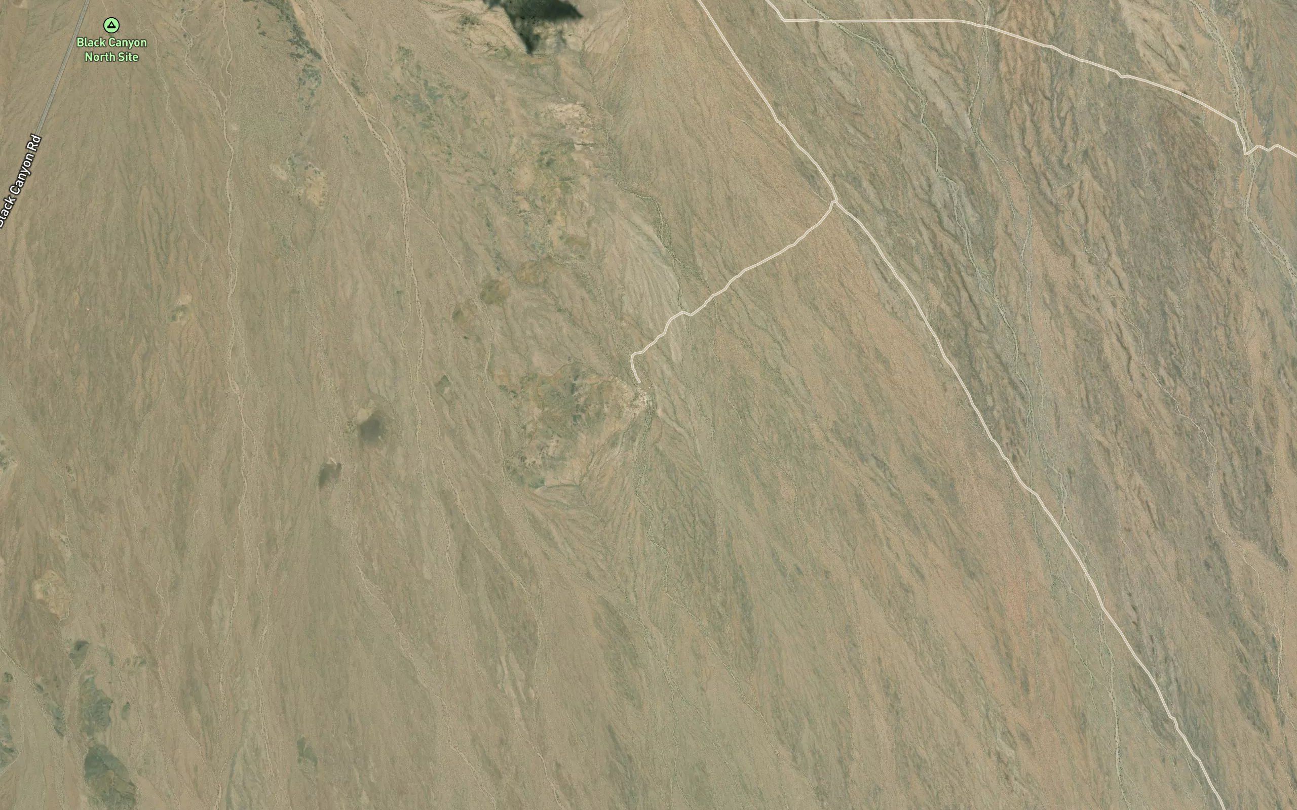 Desert Spring