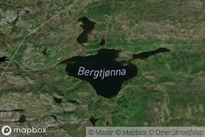 Bergtjorna