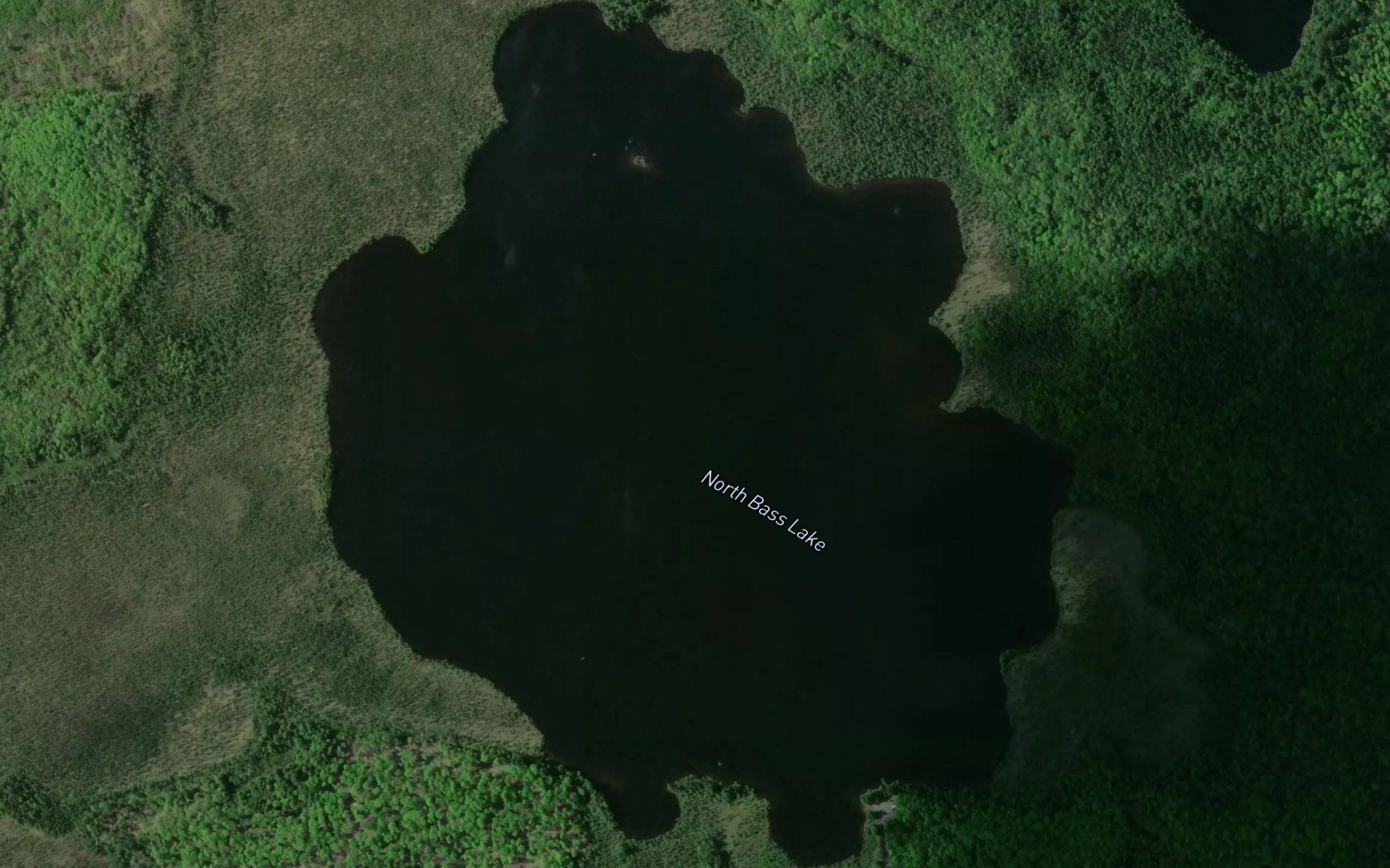 North Bass Lake