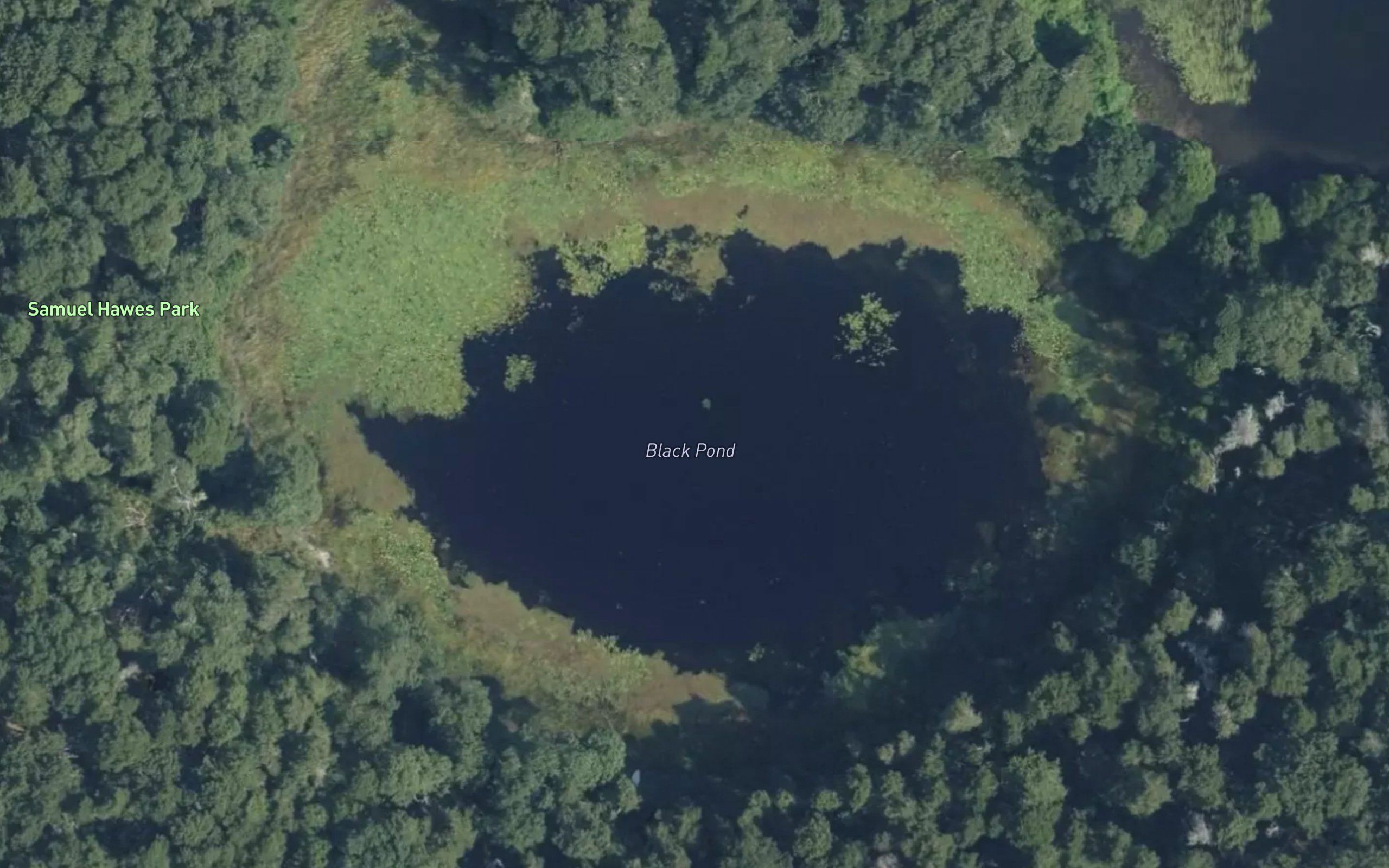 Black Pond