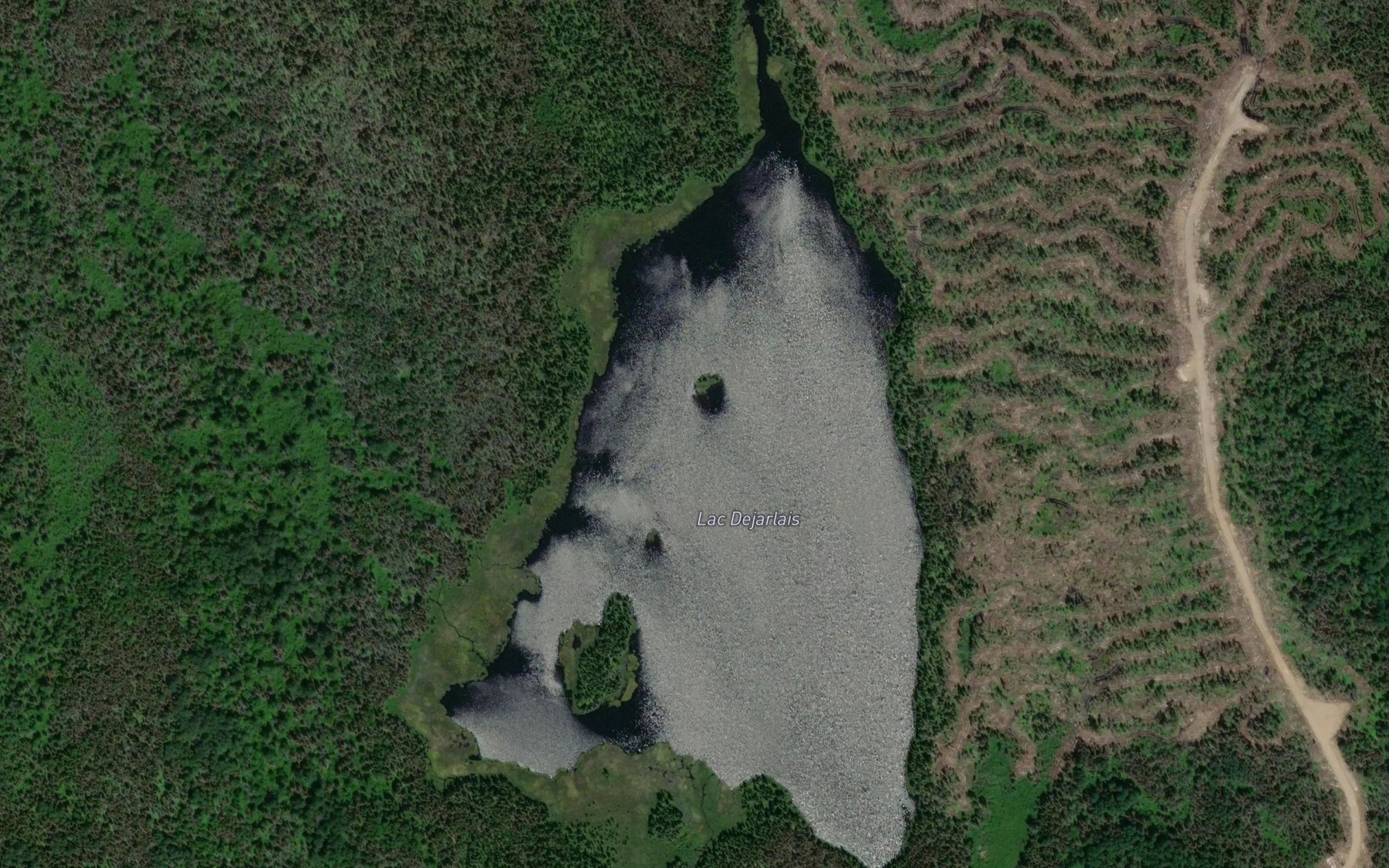 Satellite map of the Lac Dejarlais