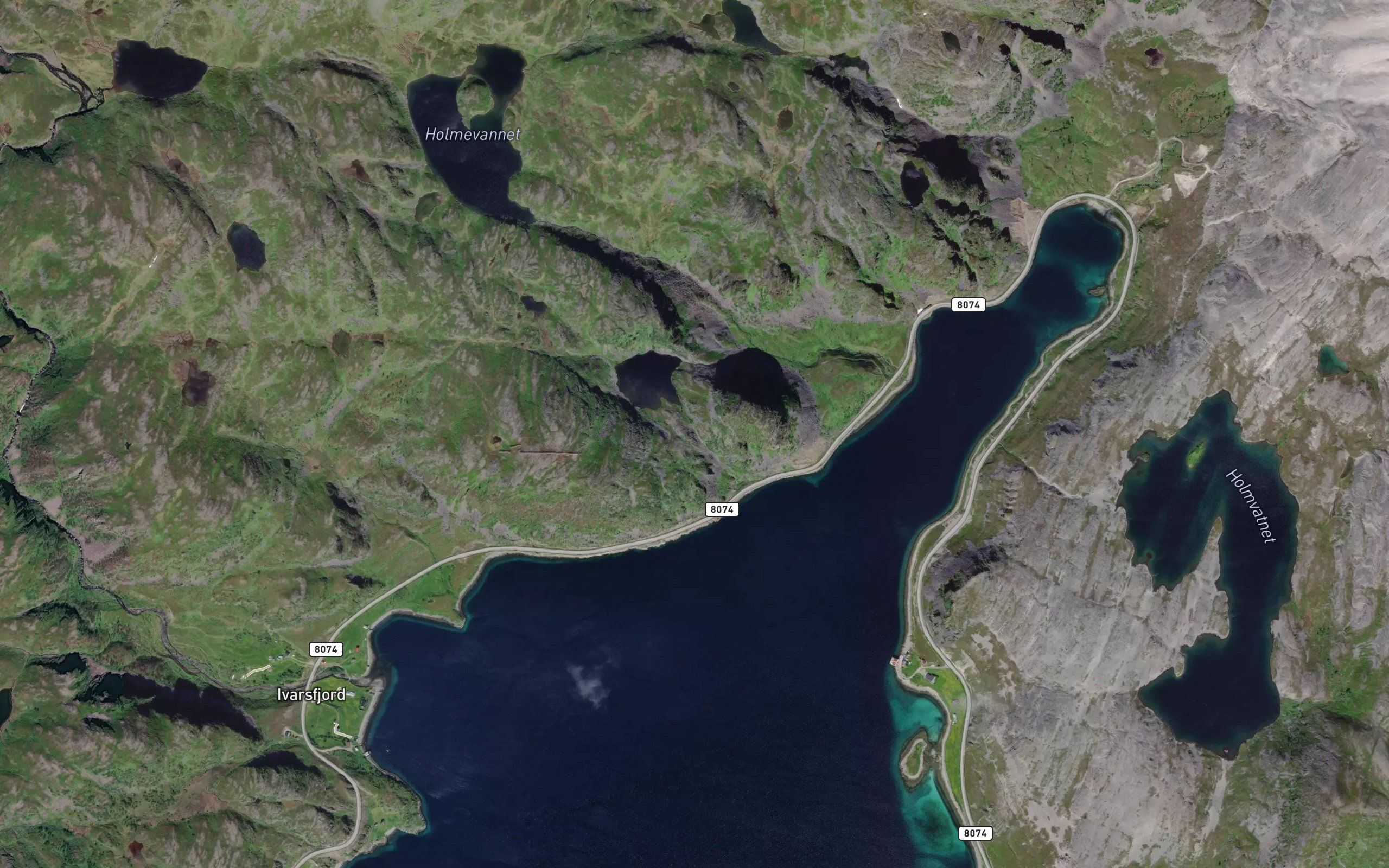 Kaneselva