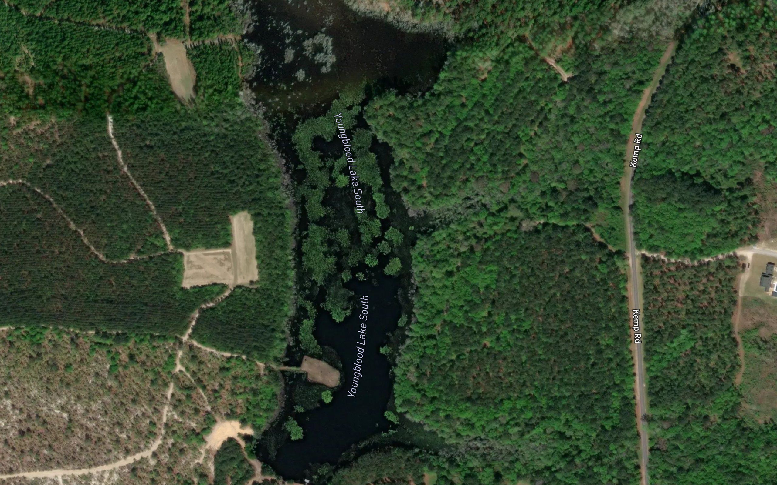 Youngblood Lake South