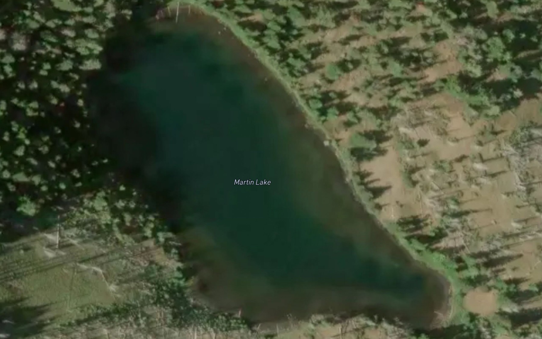 Satellite map of the Martin Lake