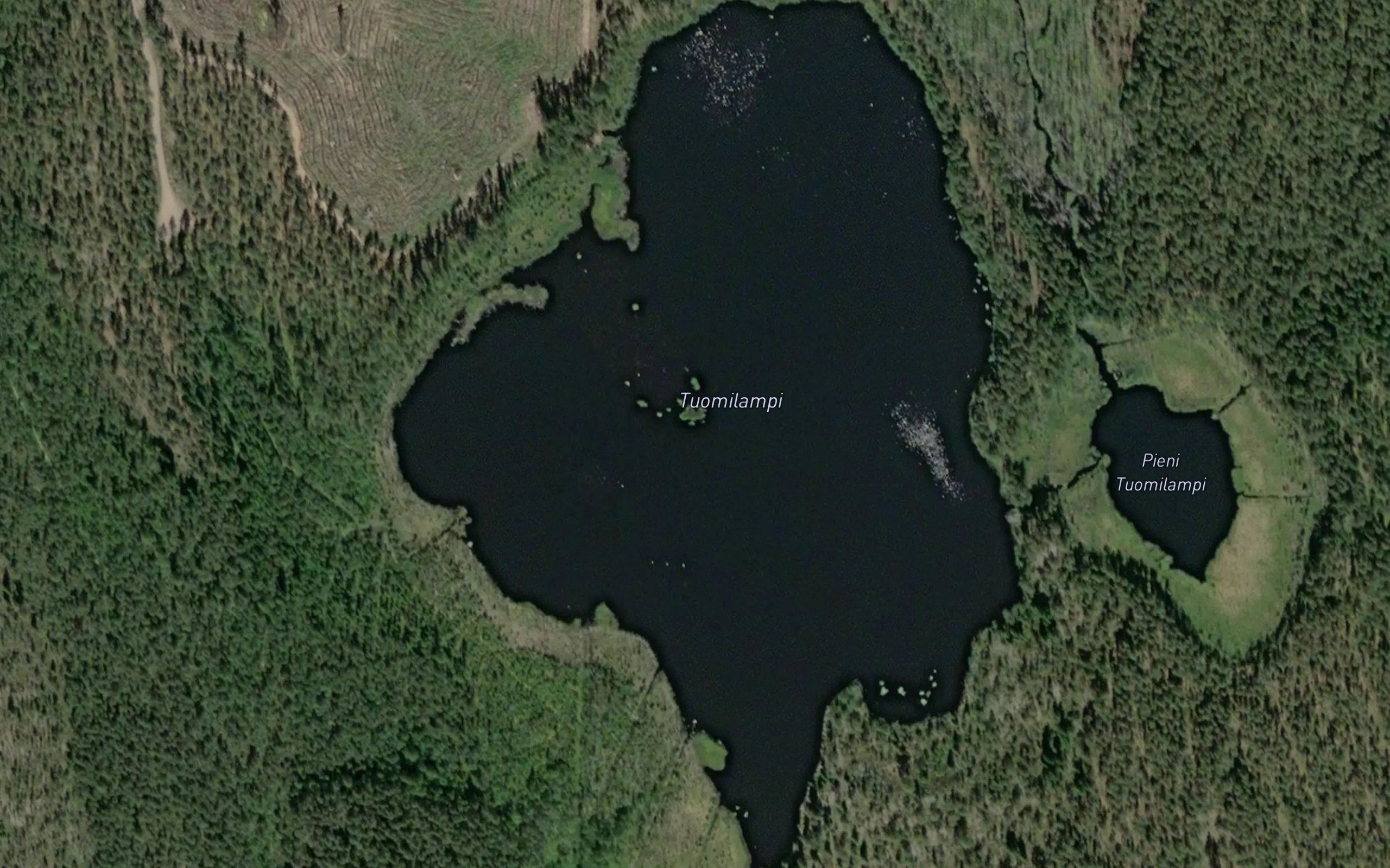 Tuomilampi