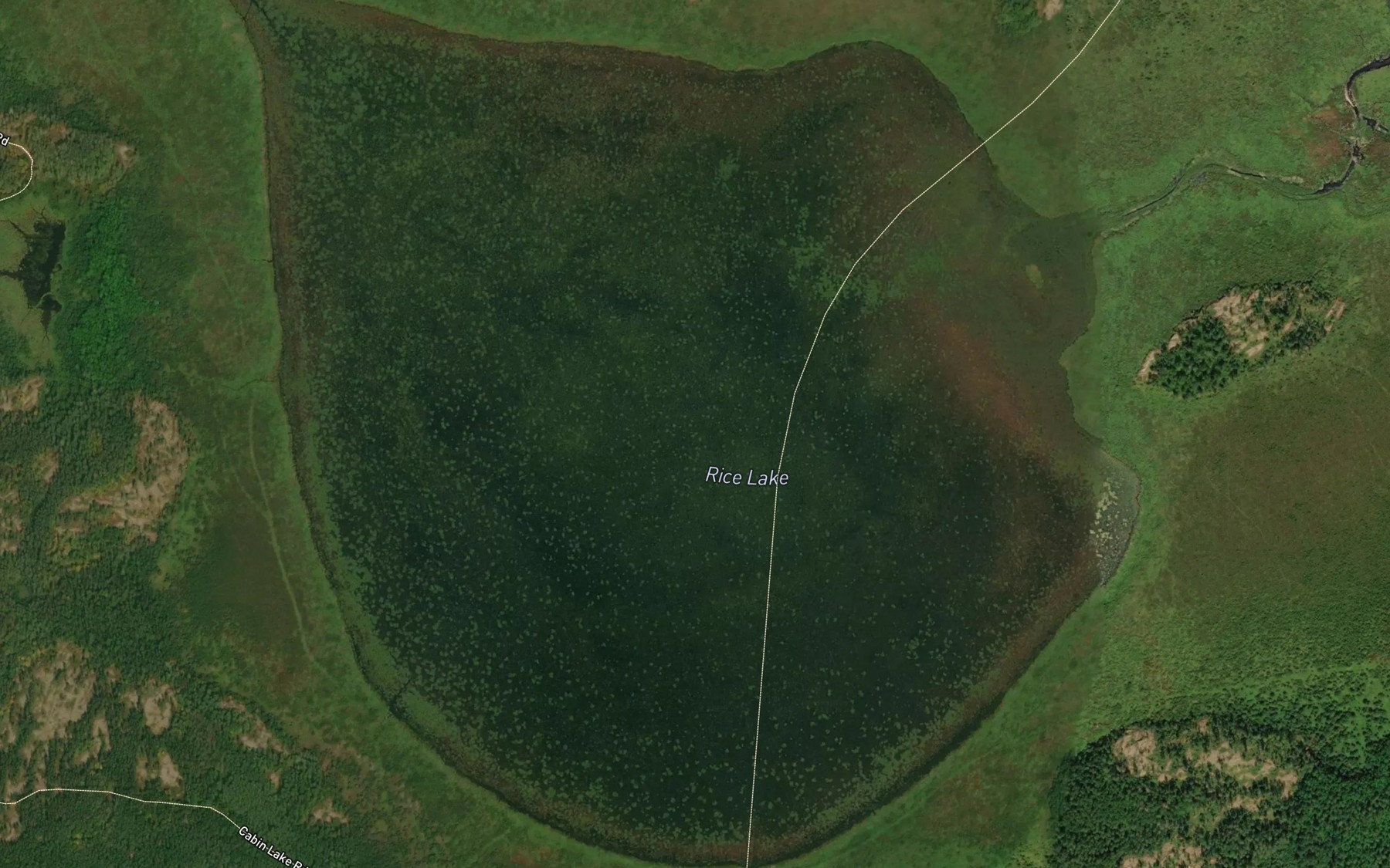Satellite map of the Rice Lake