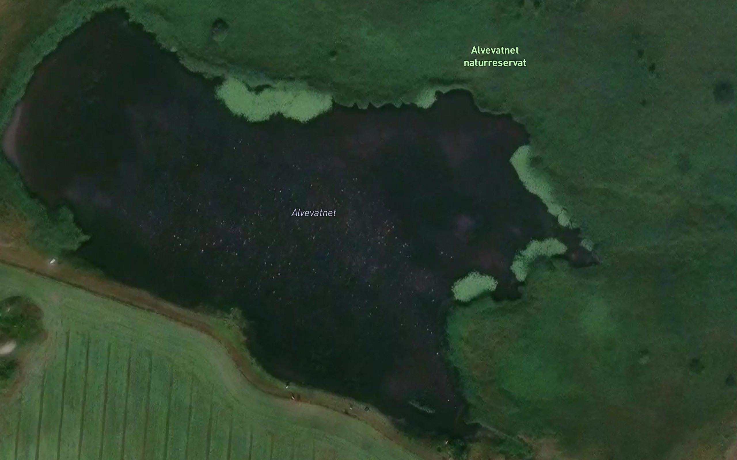 Alvevatnet
