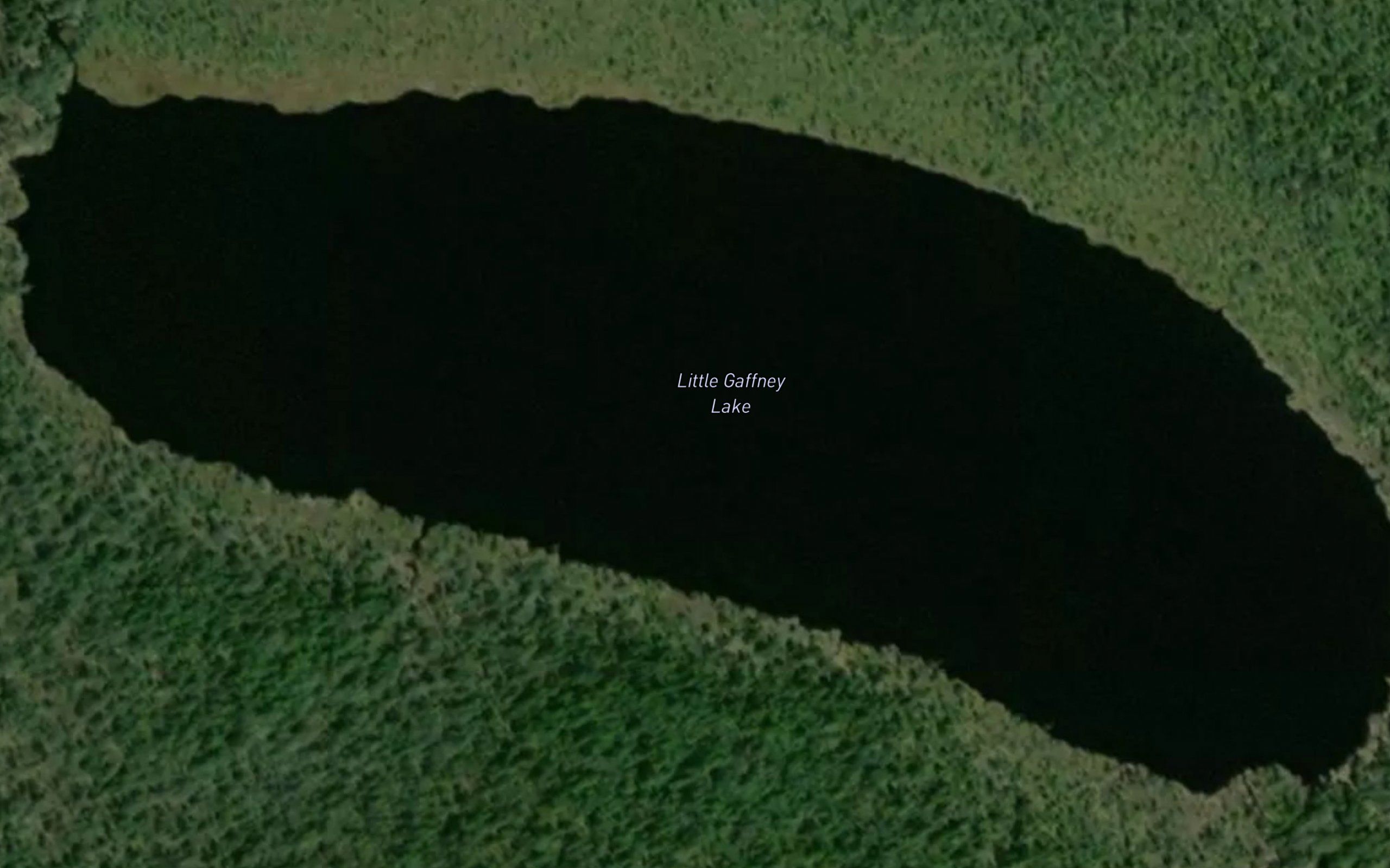 Little Gaffney Lake