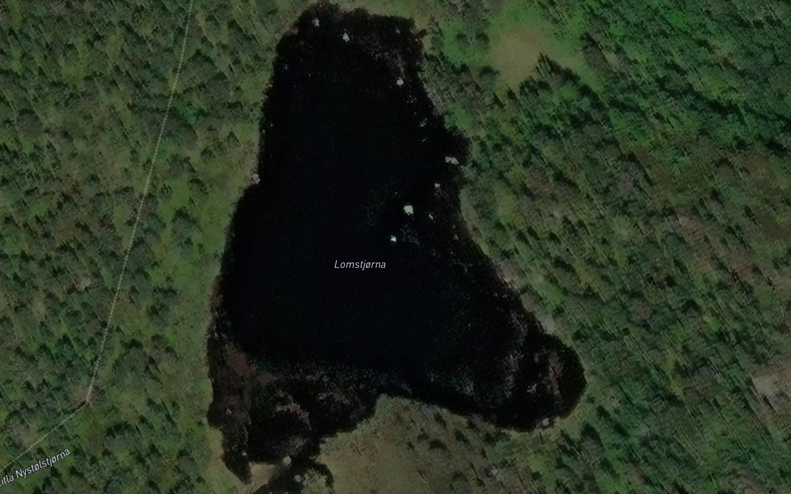 Lomstjorna
