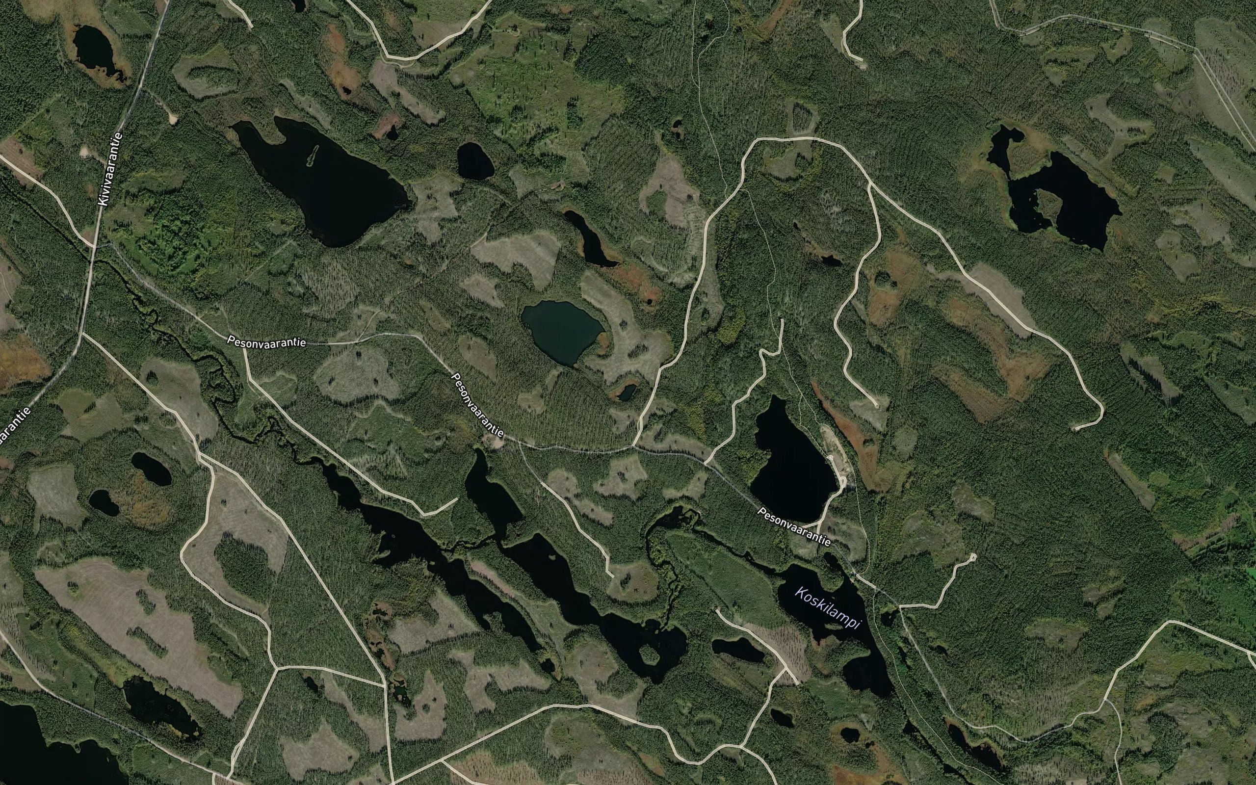 Pieni-Varis