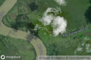 Cienaga de Curvaradocito