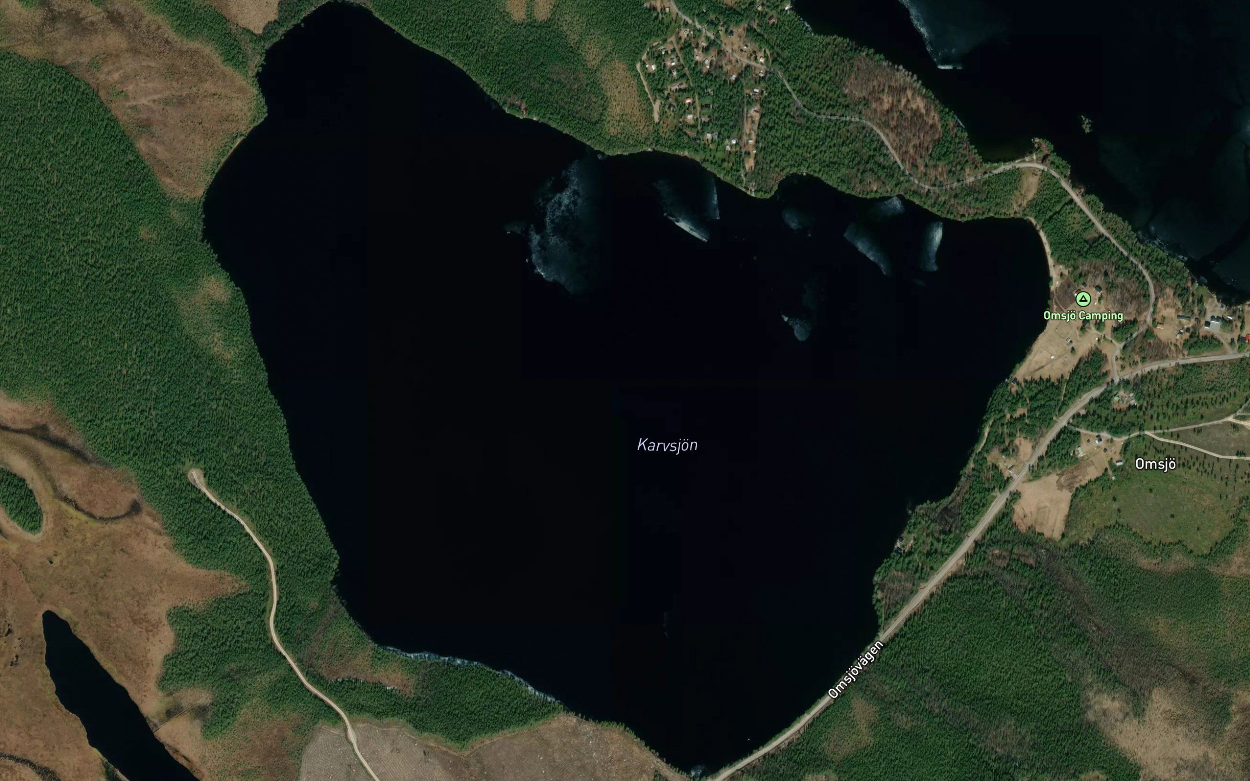 Karfsjon