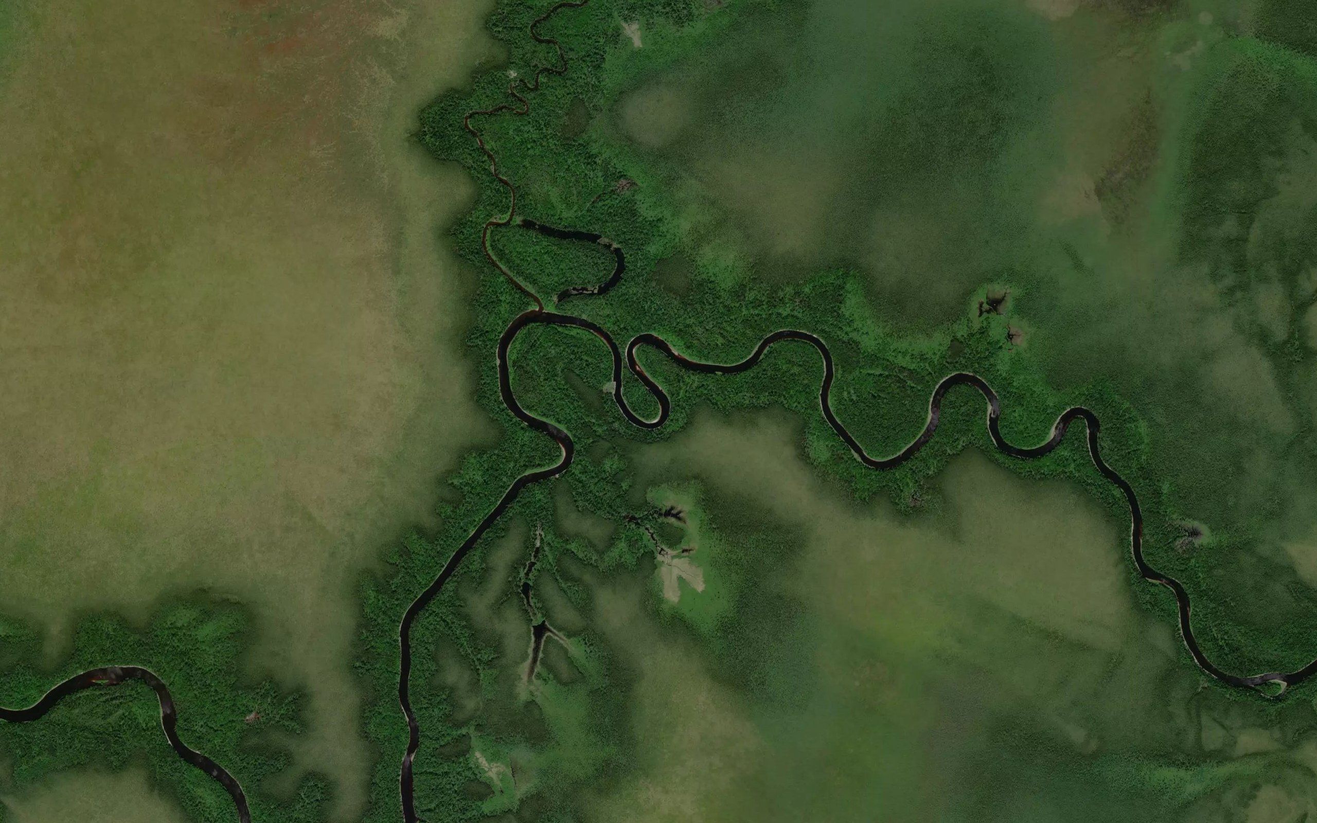 Pitukupi River