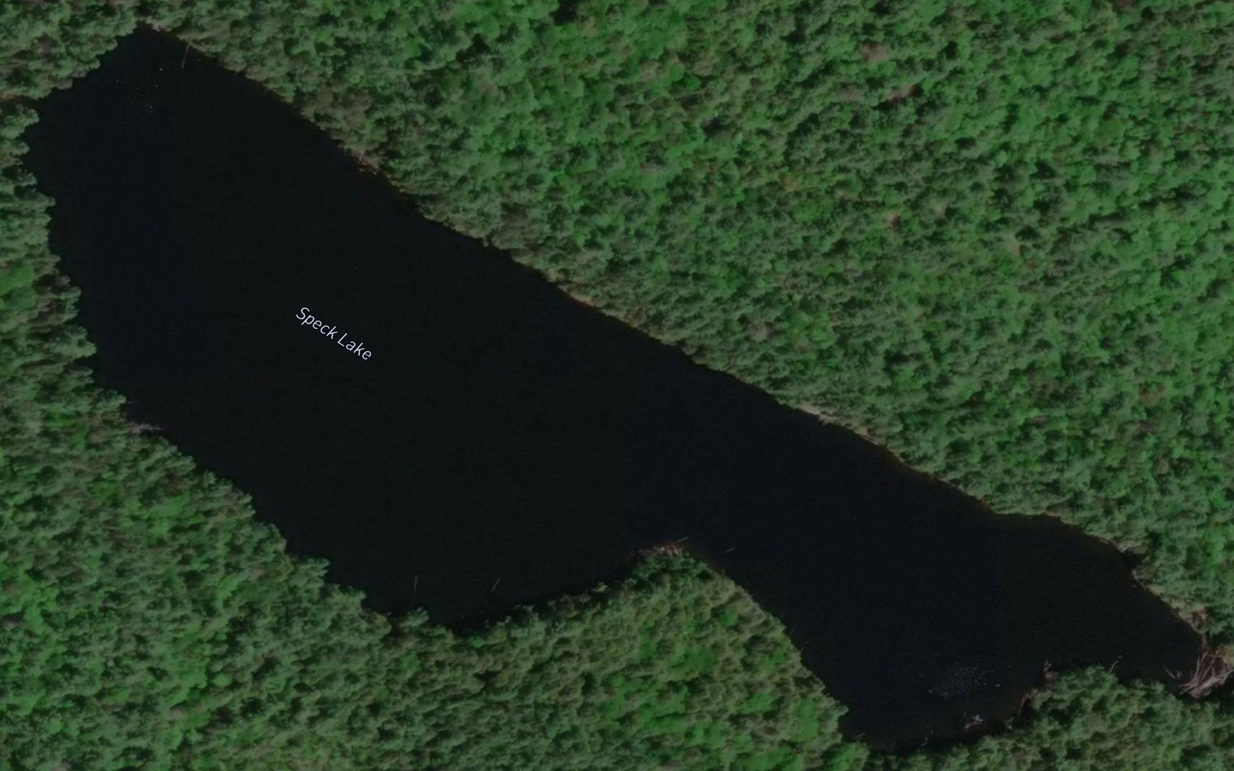 Satellite map of the Speck Lake