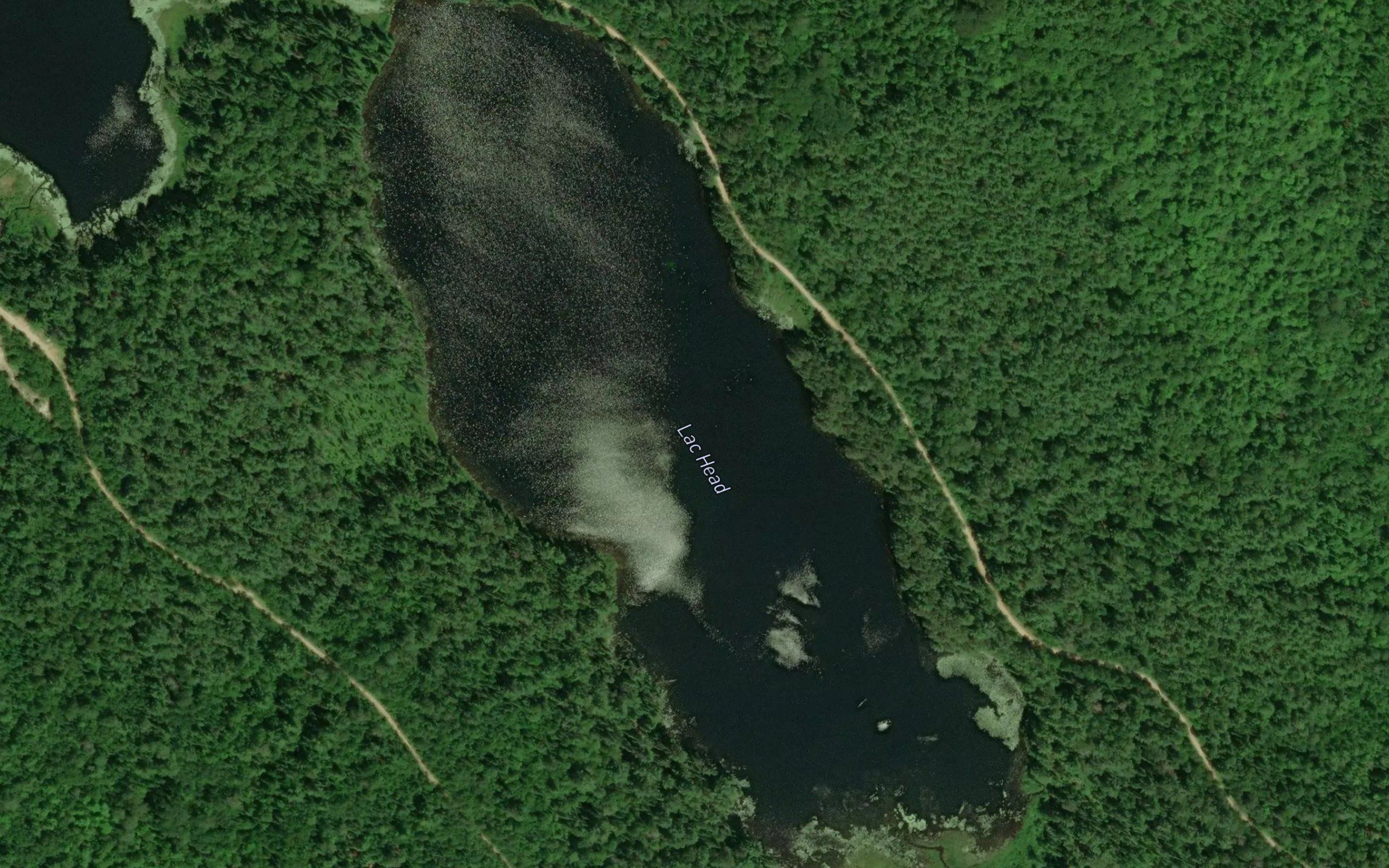 Lac Head
