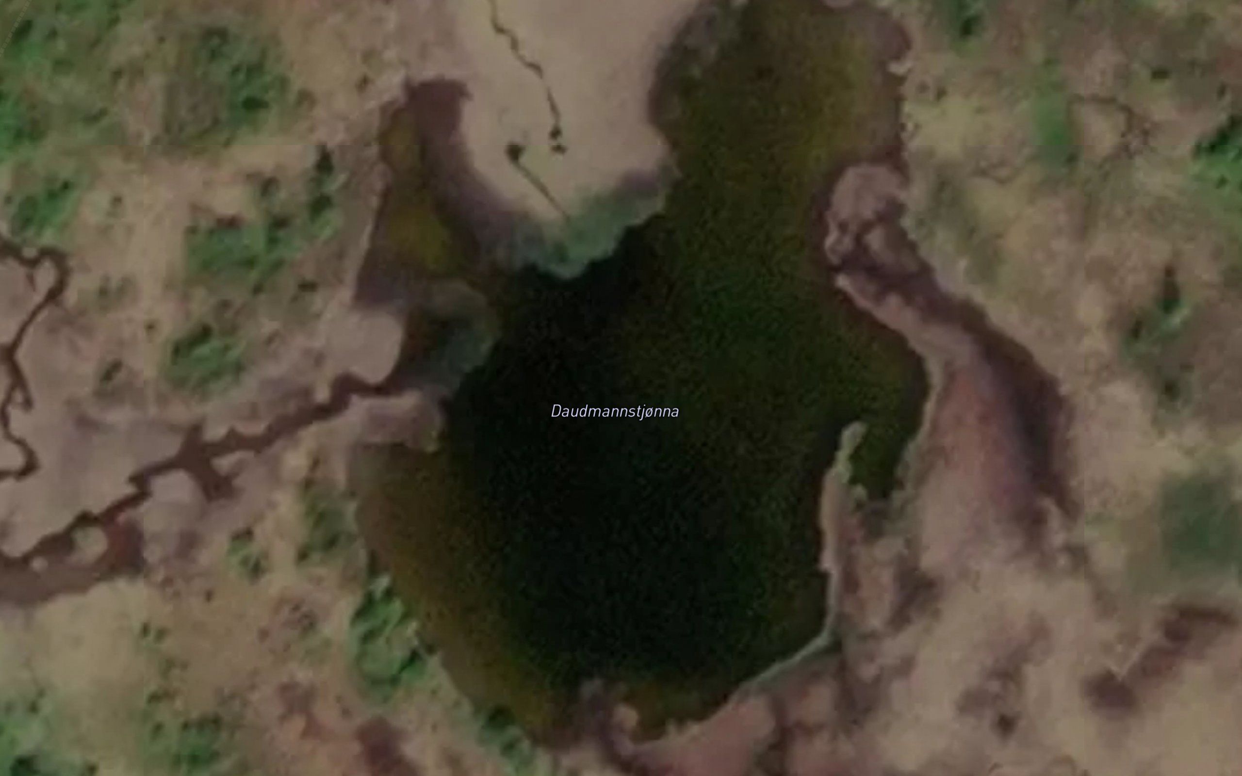 Daumannstjonna
