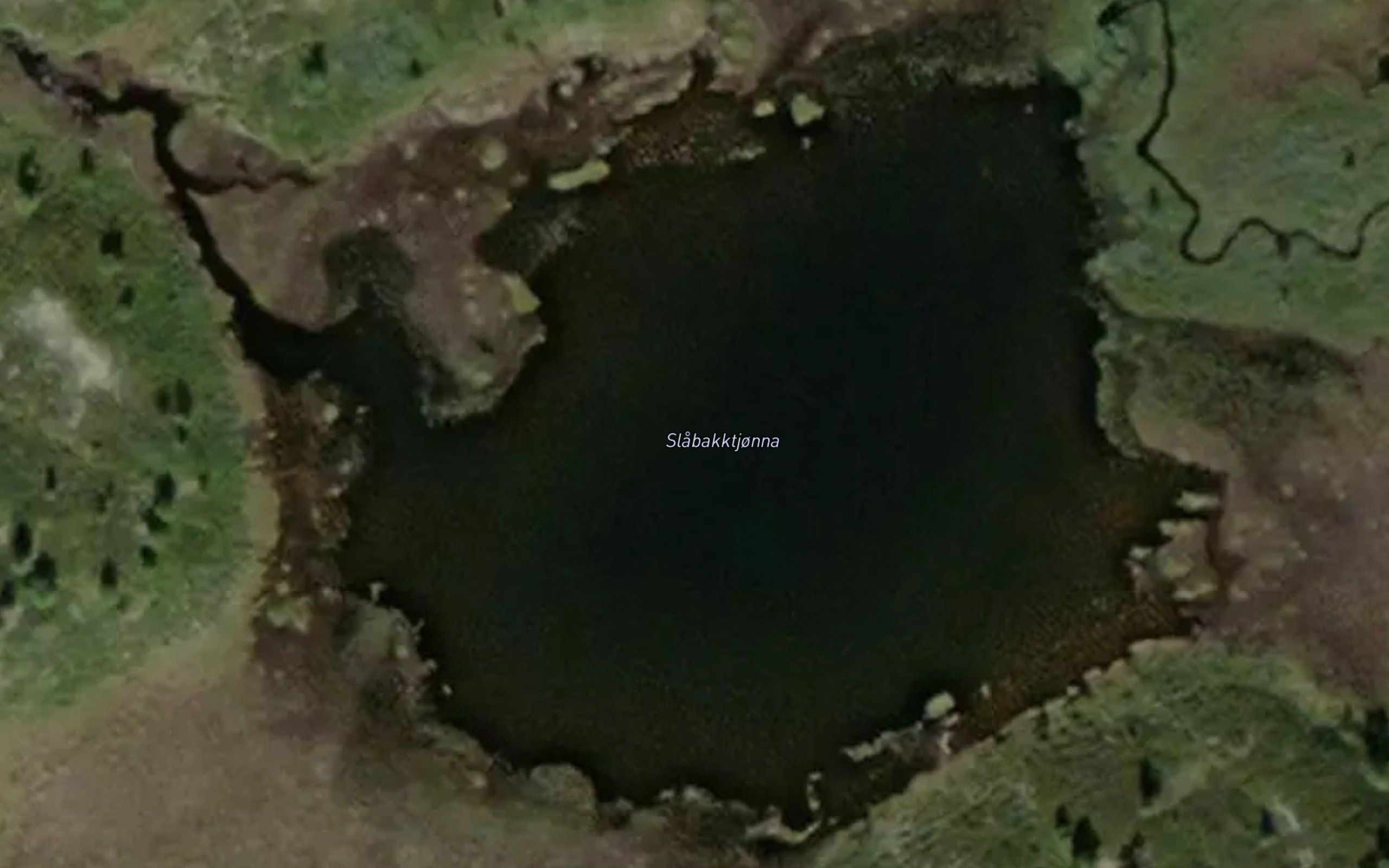 Slabakktjorna