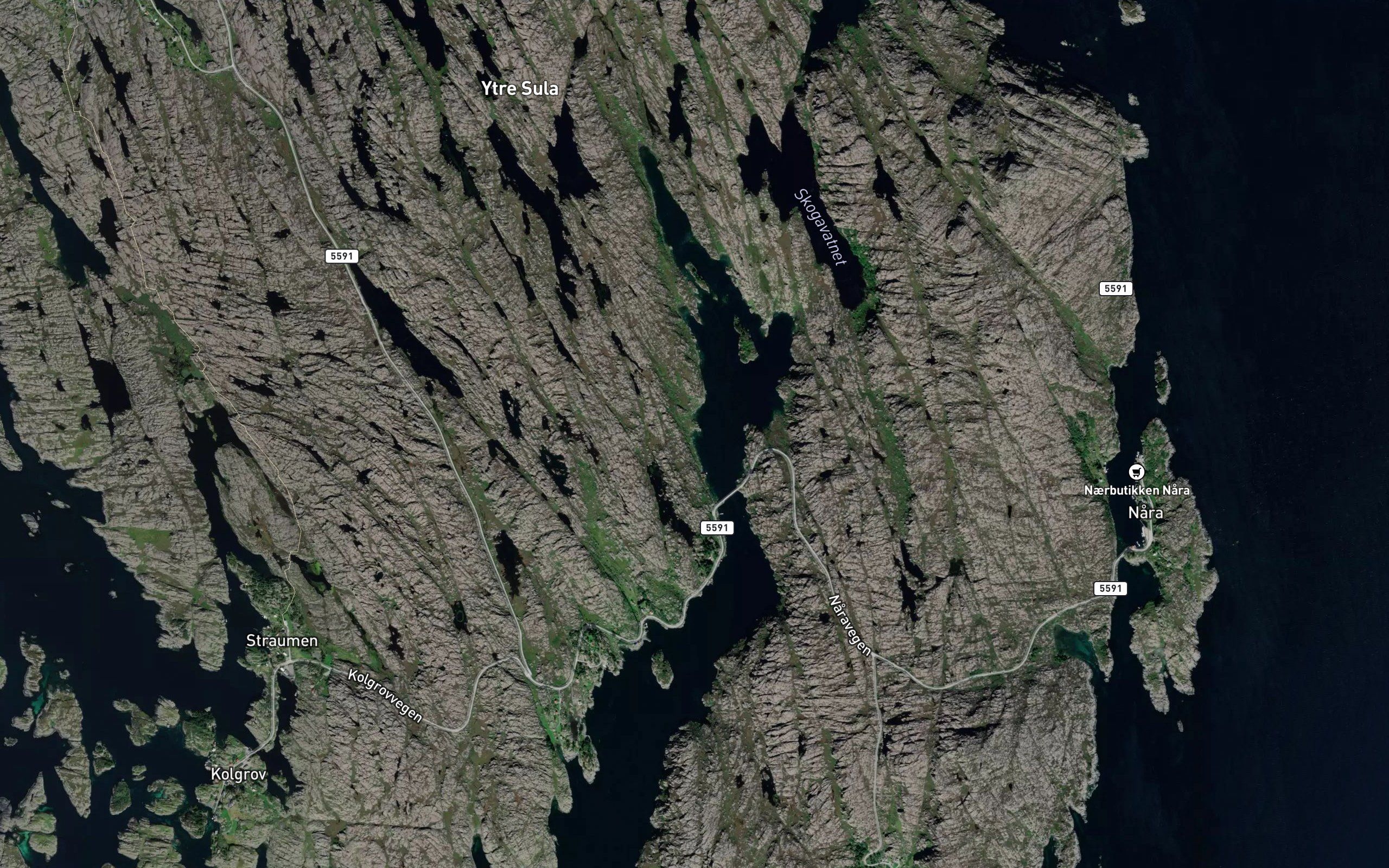 Mjolkevika