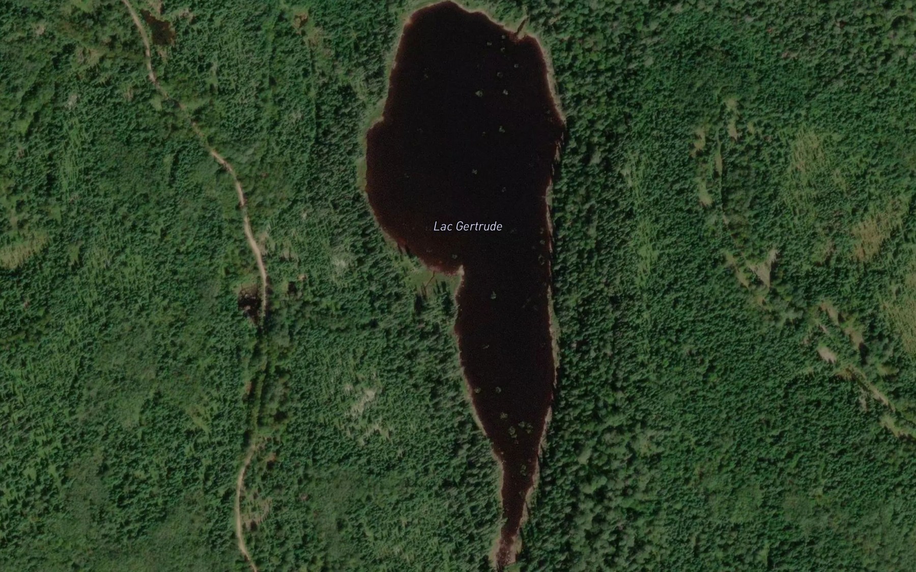 Satellite map of the Lac Gertrude