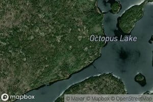 Octopus Lake
