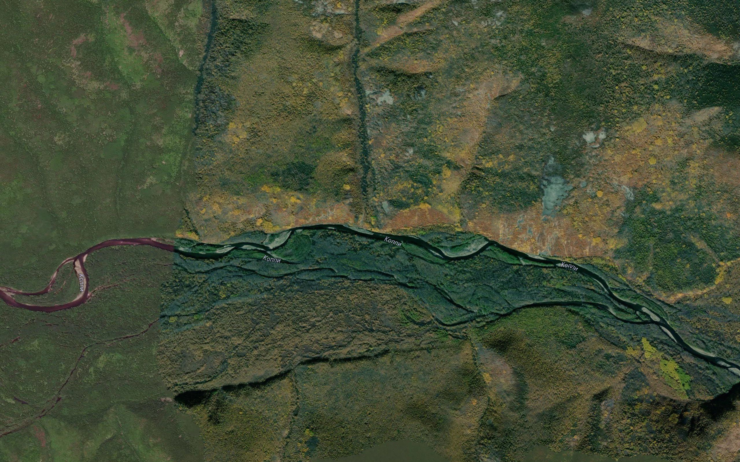 Dvurogiy