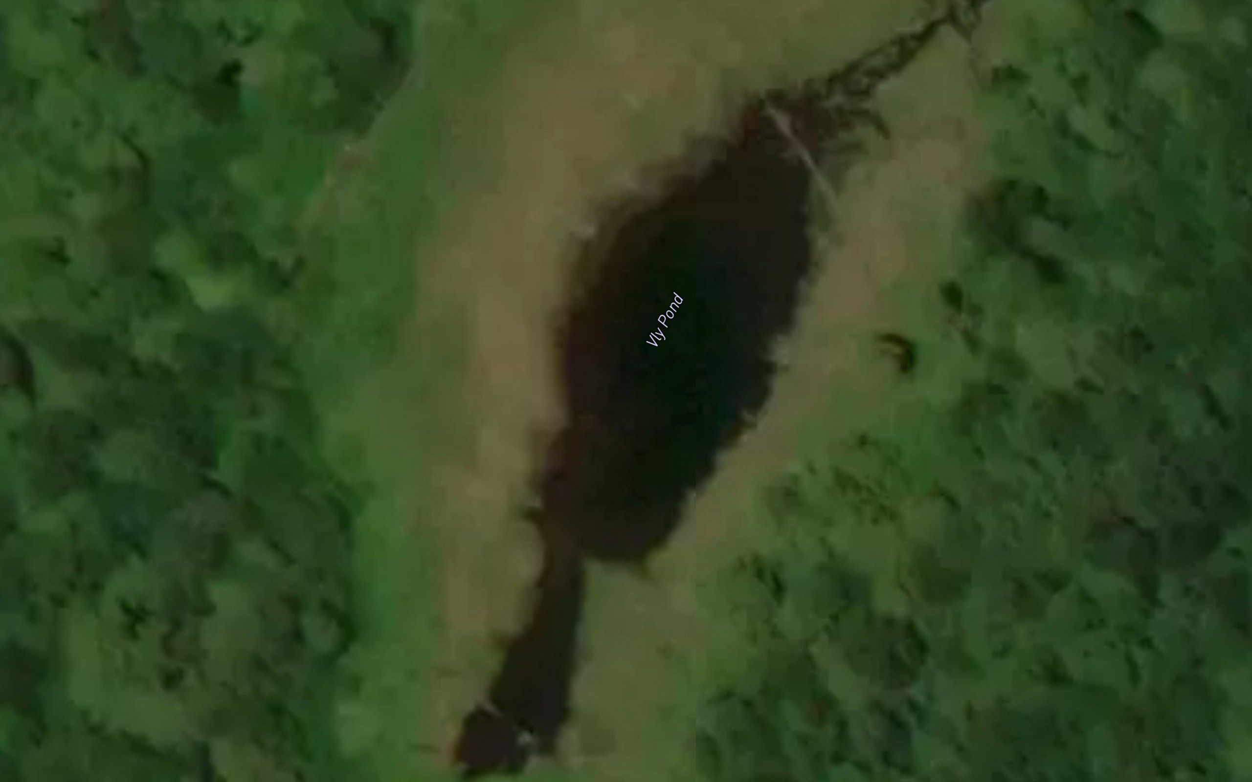 Vly Pond