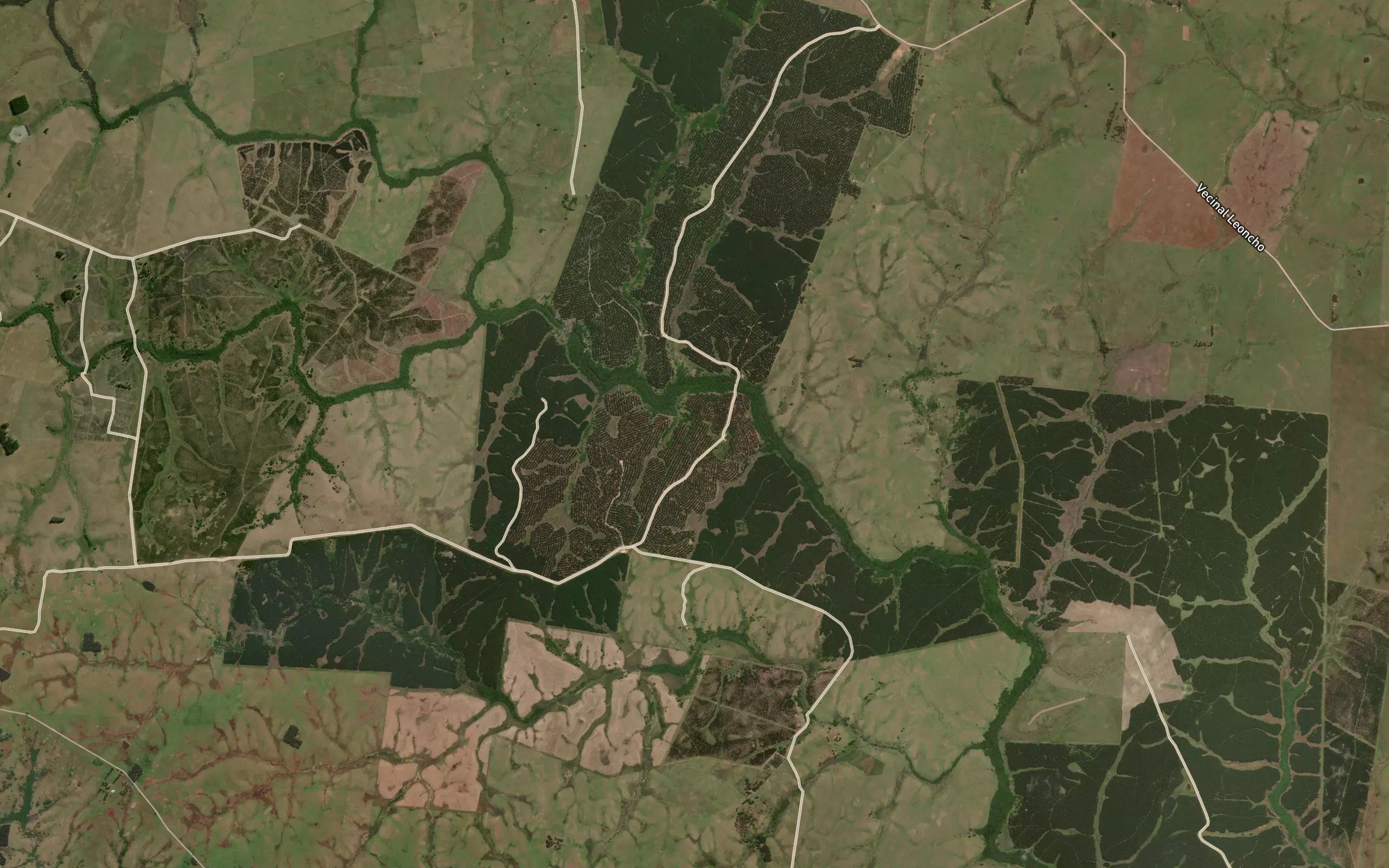 Arroyo Corrales