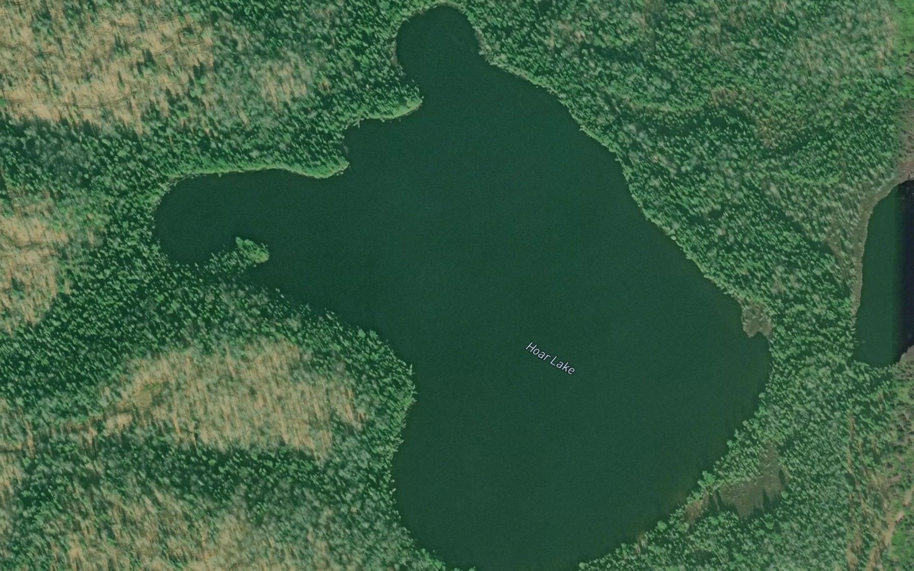 Satellite map of the Hoar Lake