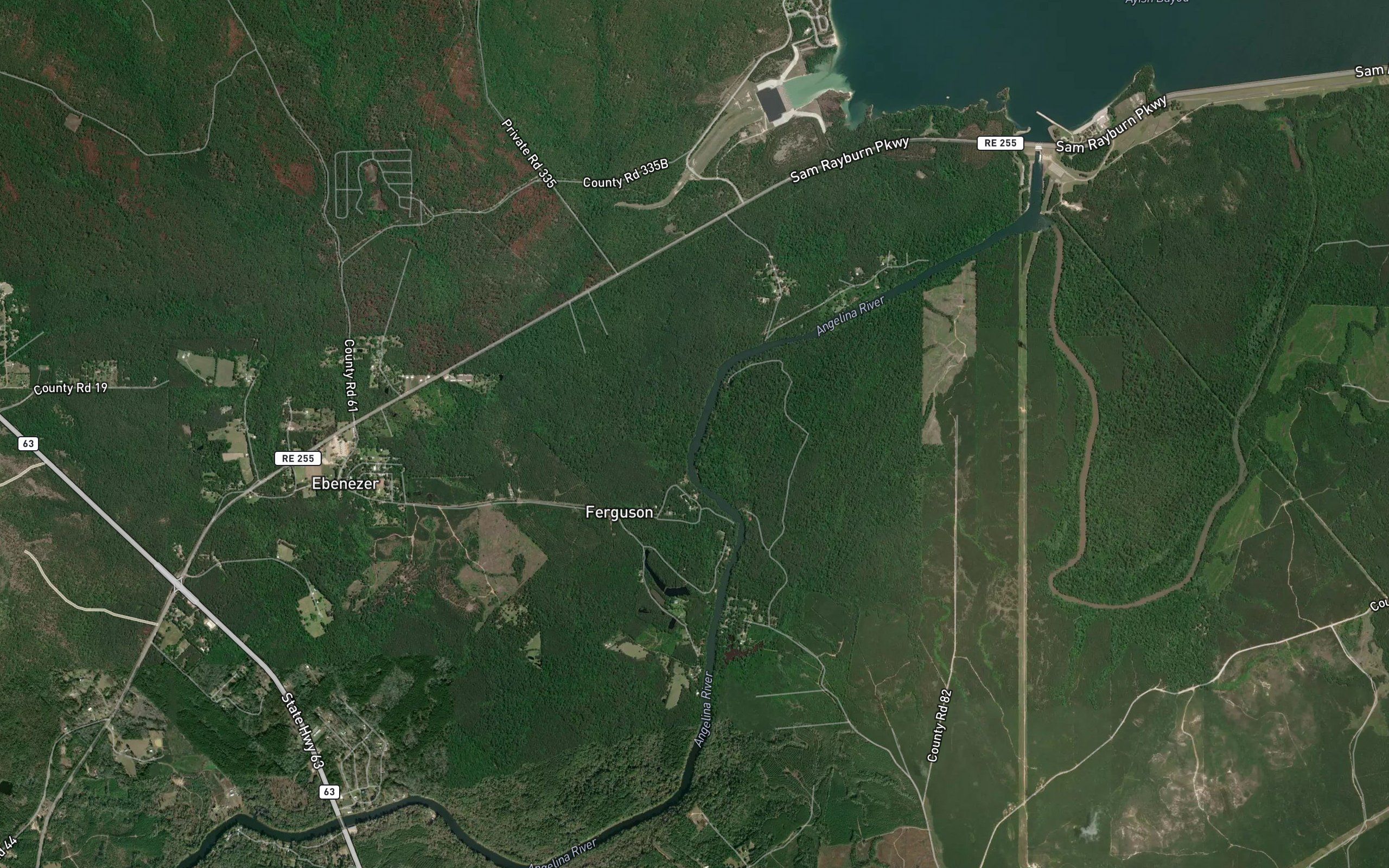 Ward Branch