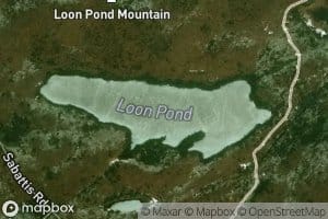 Loon Pond